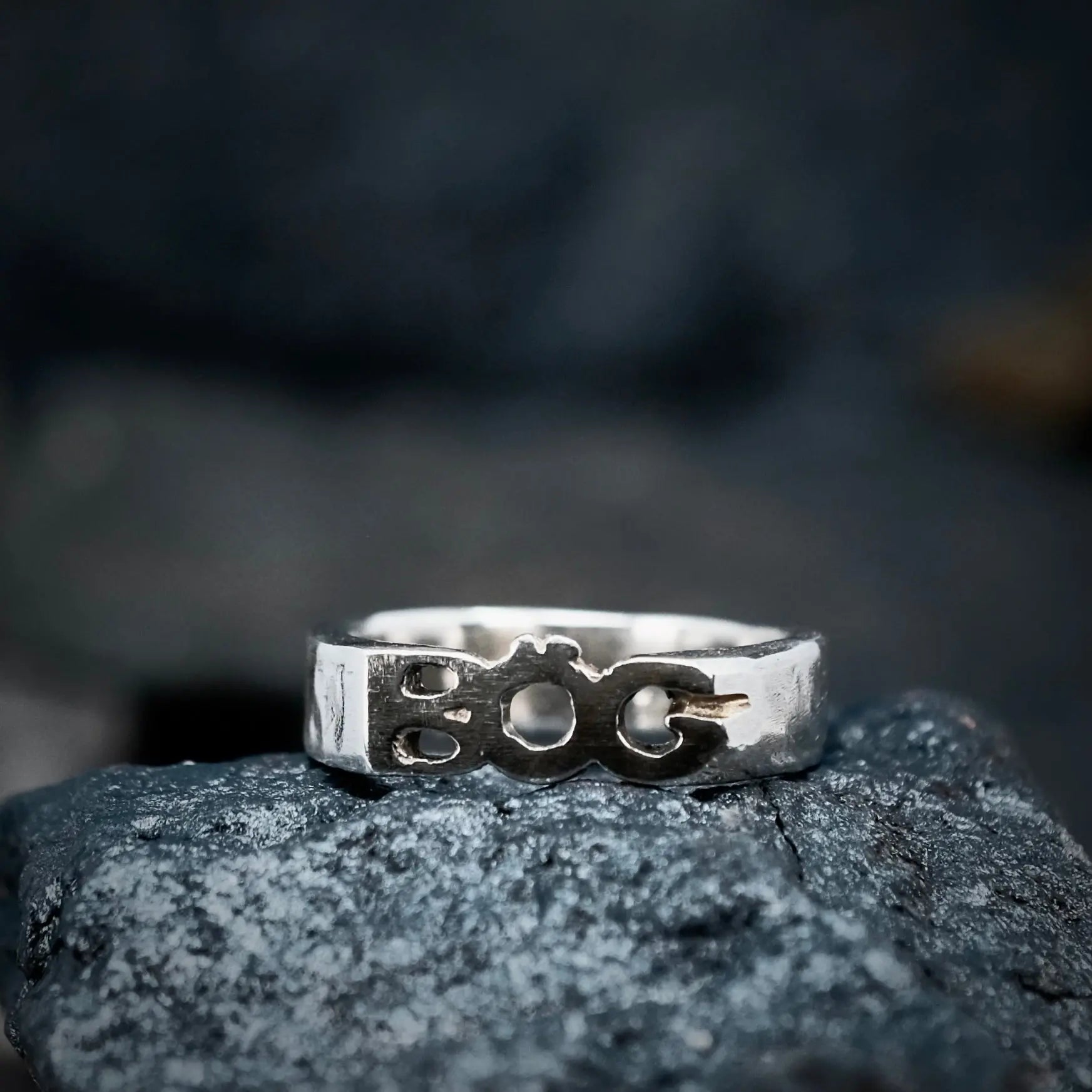 BÖG - Ordring L8Hasselblad