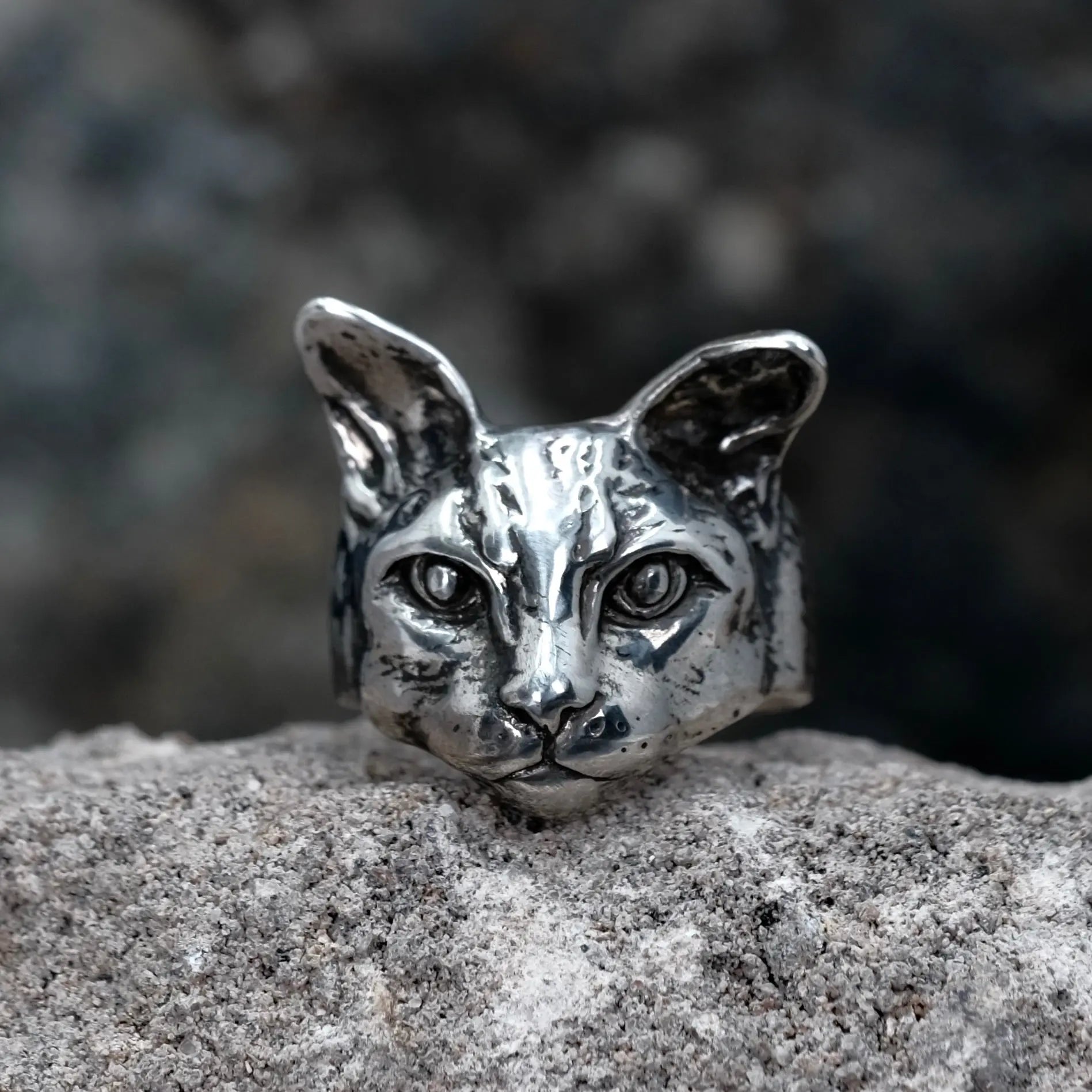 Catitude - Ring L8Hasselblad