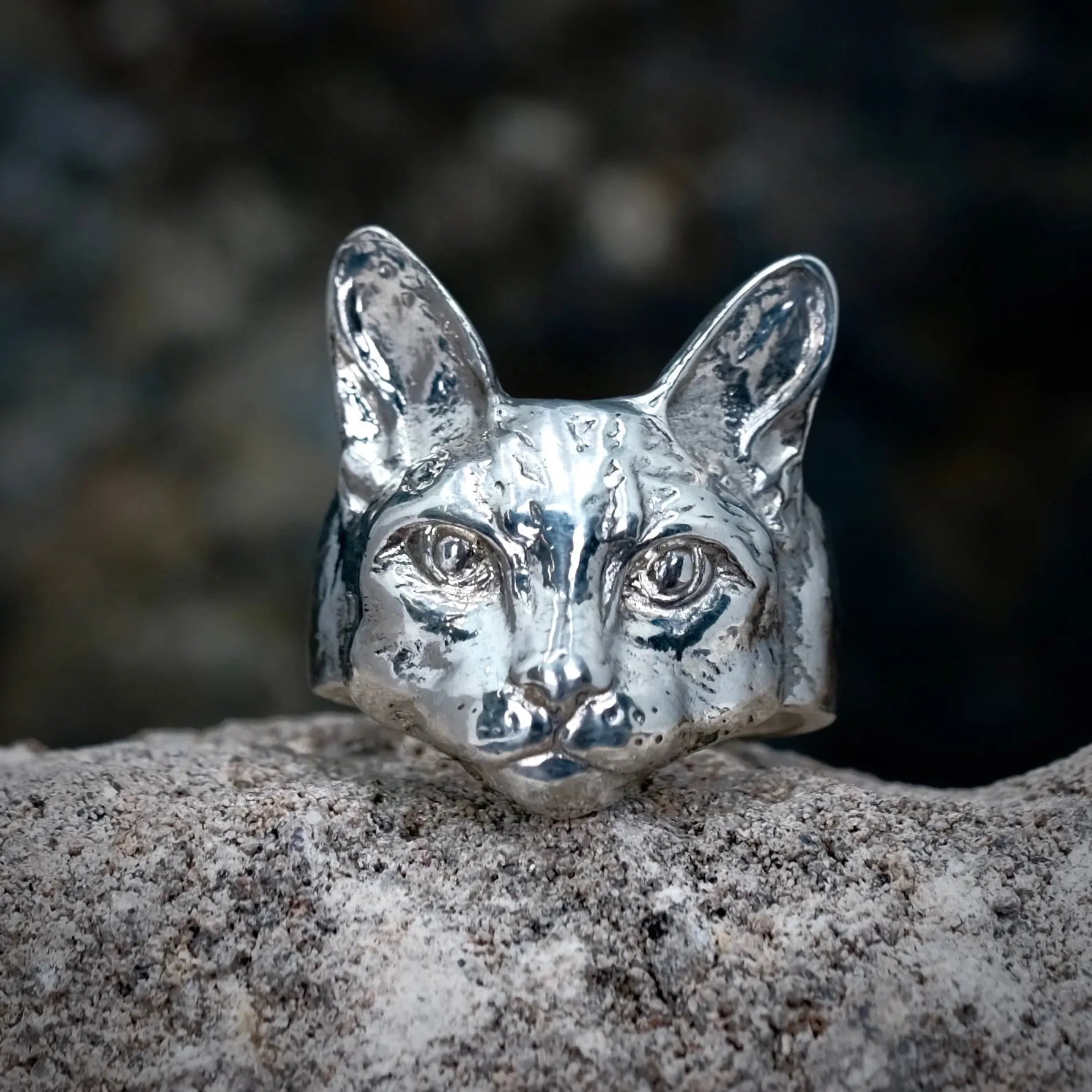 Catitude - Ring L8Hasselblad
