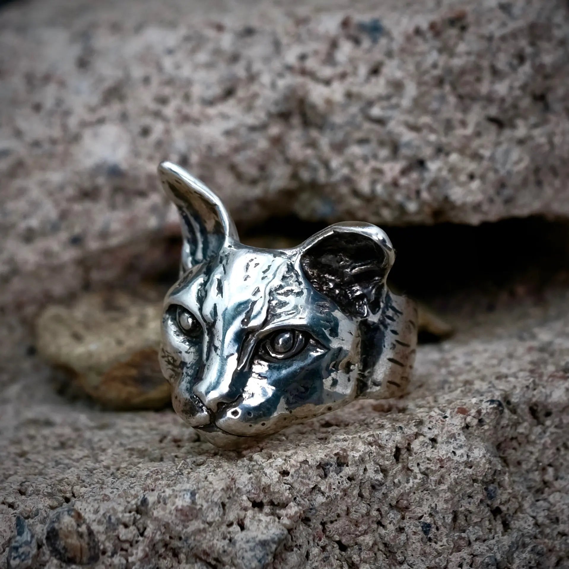 Catitude - Ring L8Hasselblad
