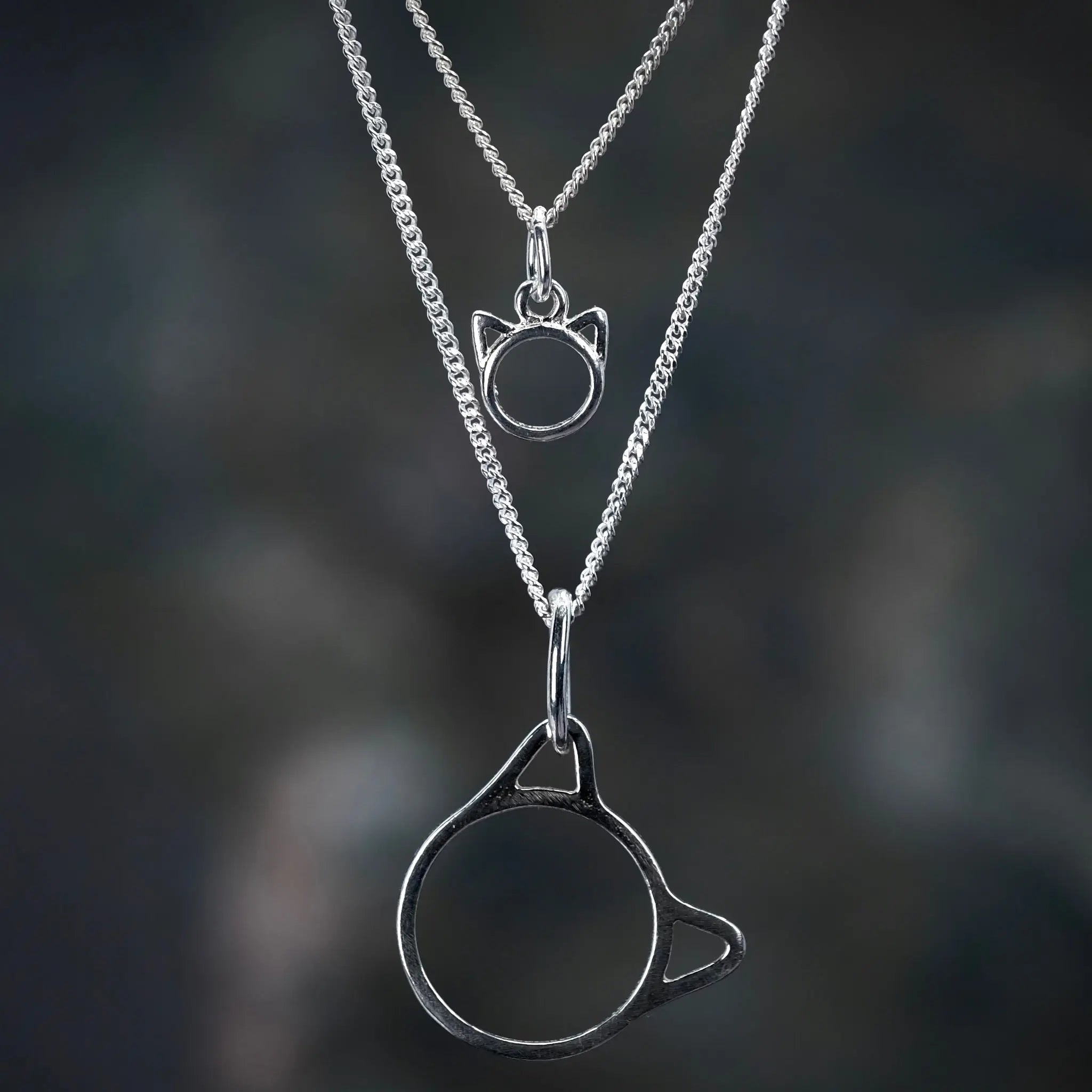Katthuvud - Halsband L8Hasselblad