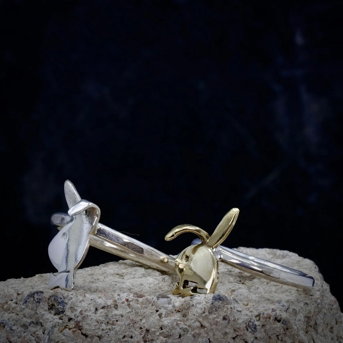 Playboy - 2mm Ring L8Hasselblad