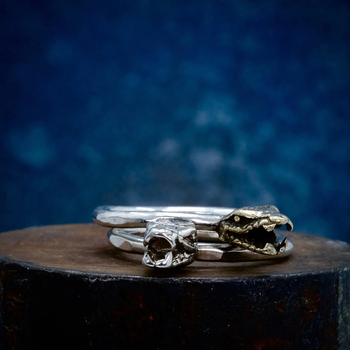 Ormring - 2mm Ring L8Hasselblad