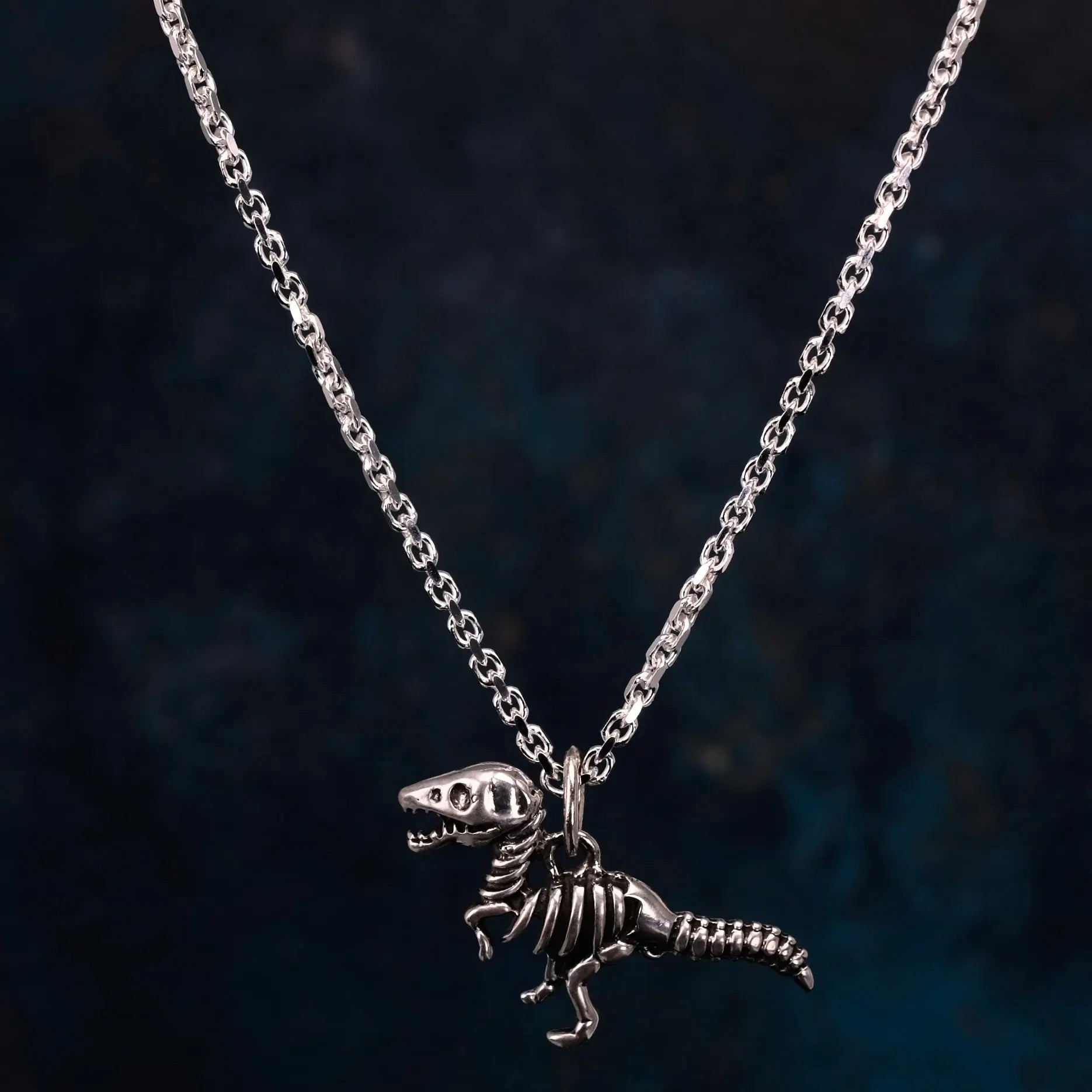 Dino - Halsband L8Hasselblad
