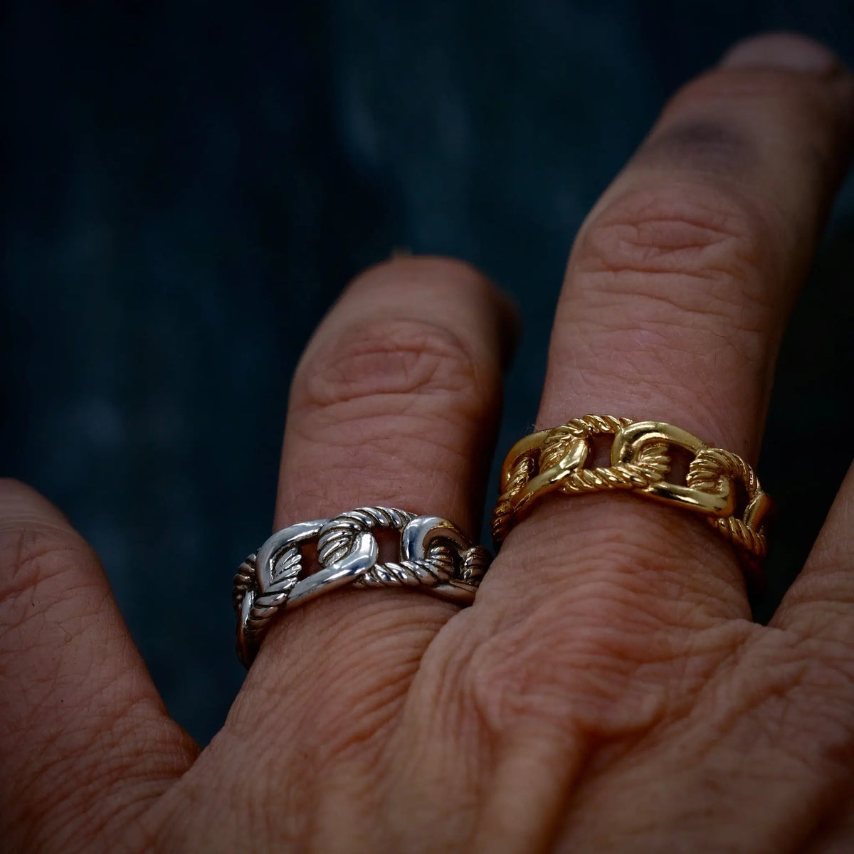 Detaljerade Kedjan - Ring L8Hasselblad