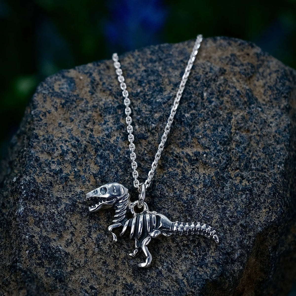 Dino - Halsband L8Hasselblad