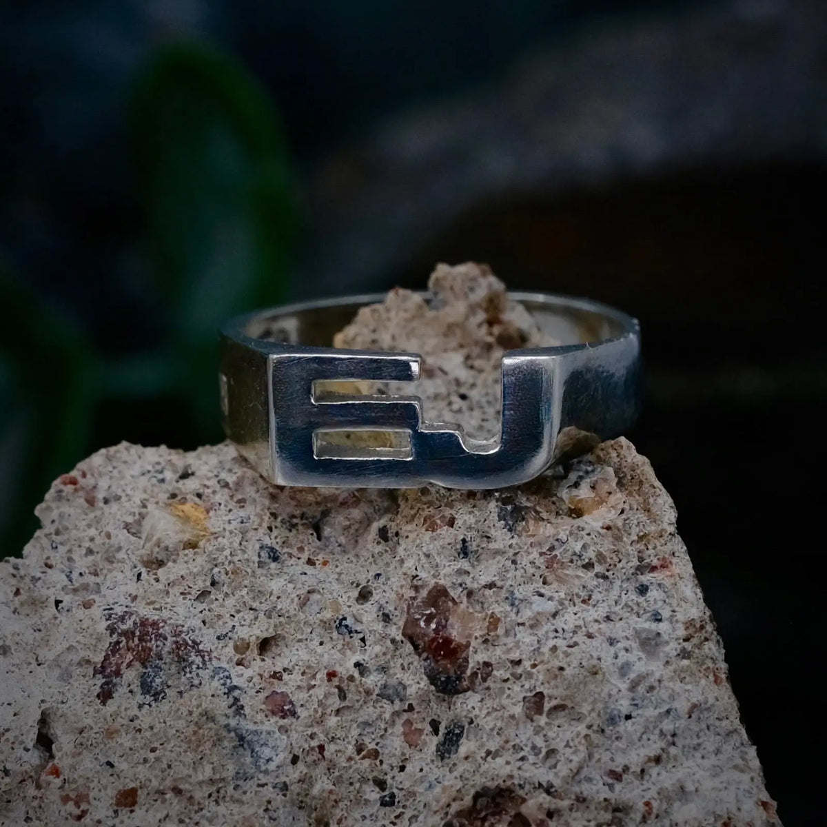 EJ - Ordring L8Hasselblad