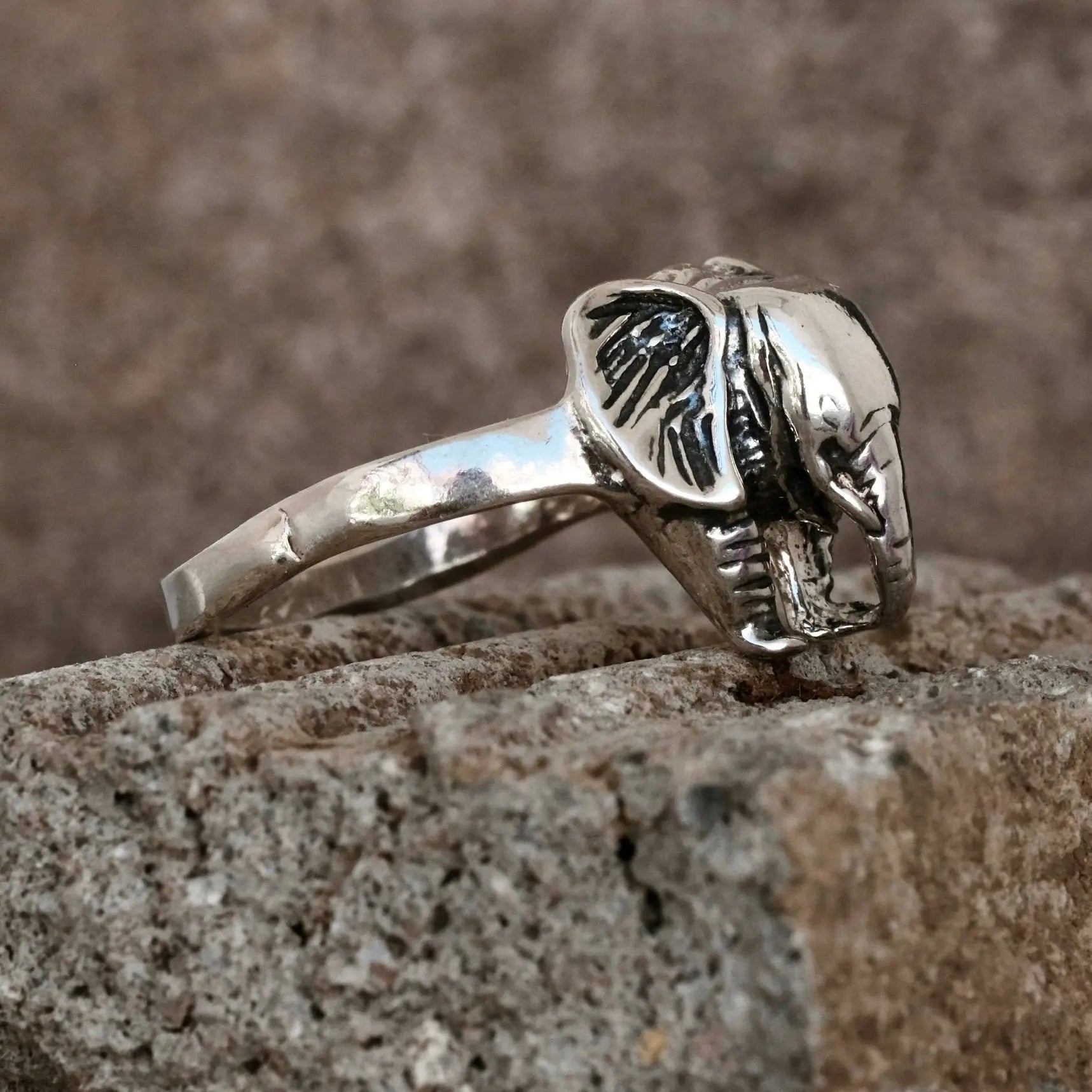 Elefant - Ring L8Hasselblad