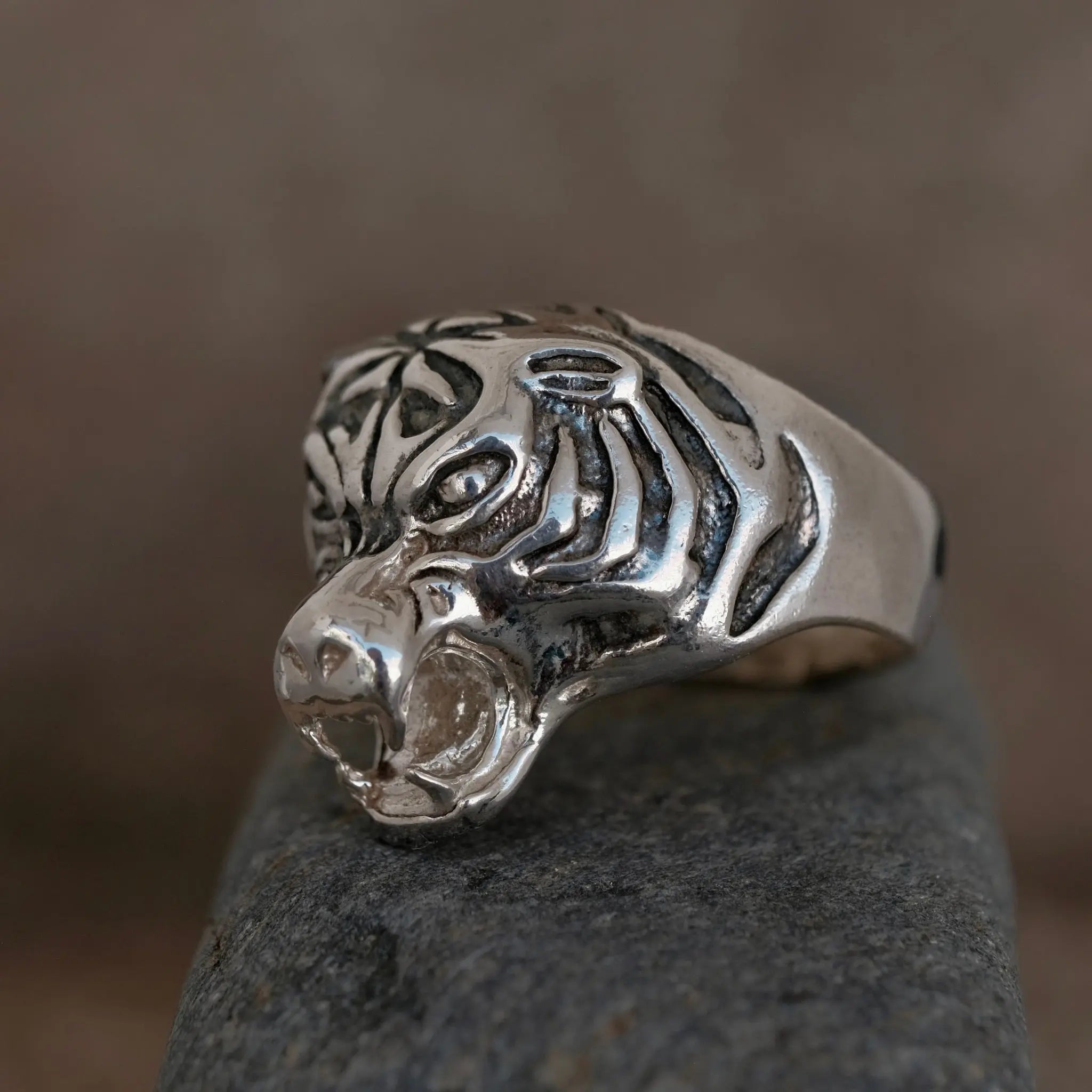 Farlig Tiger - Ring L8Hasselblad
