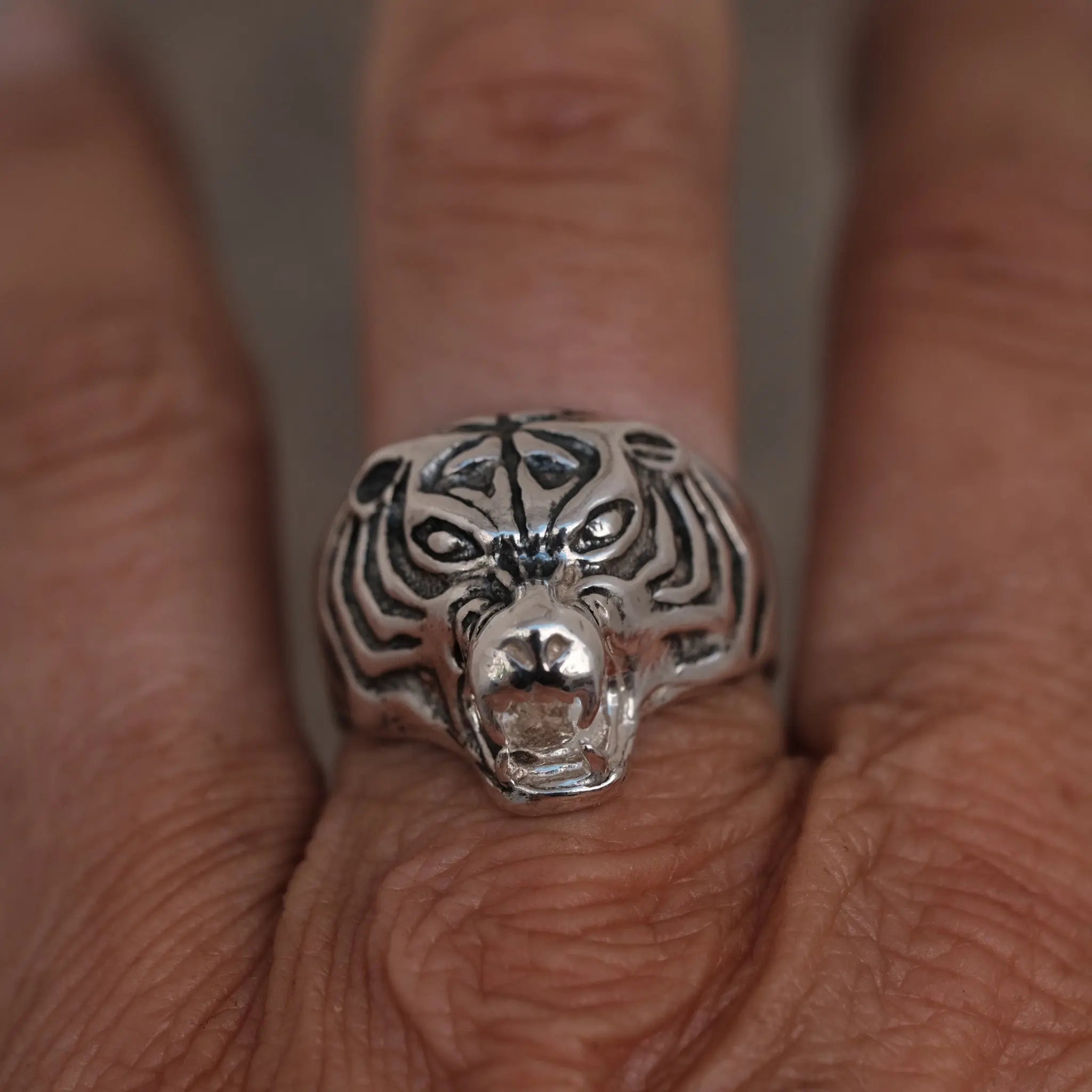 Farlig Tiger - Ring L8Hasselblad