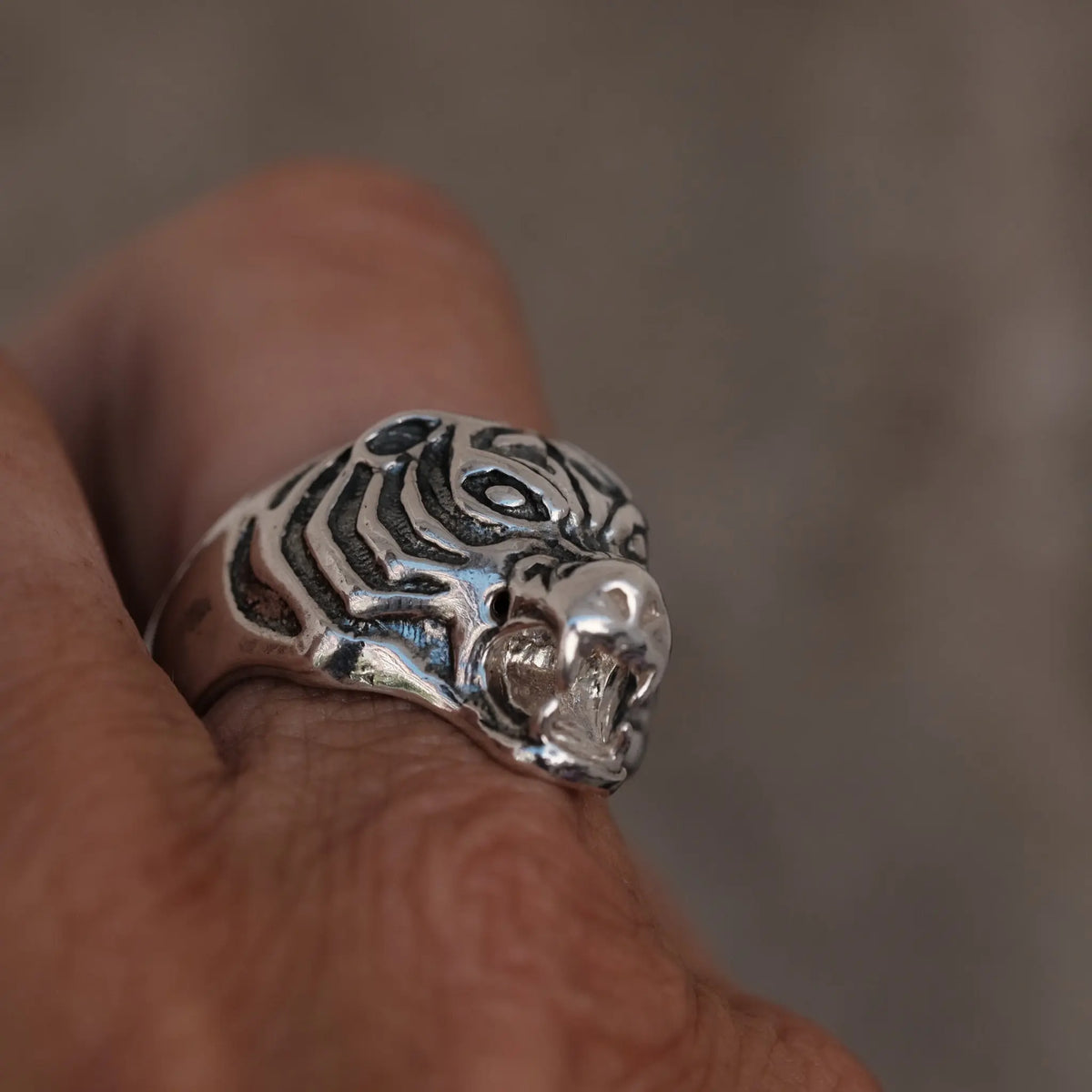 Farlig Tiger - Ring L8Hasselblad