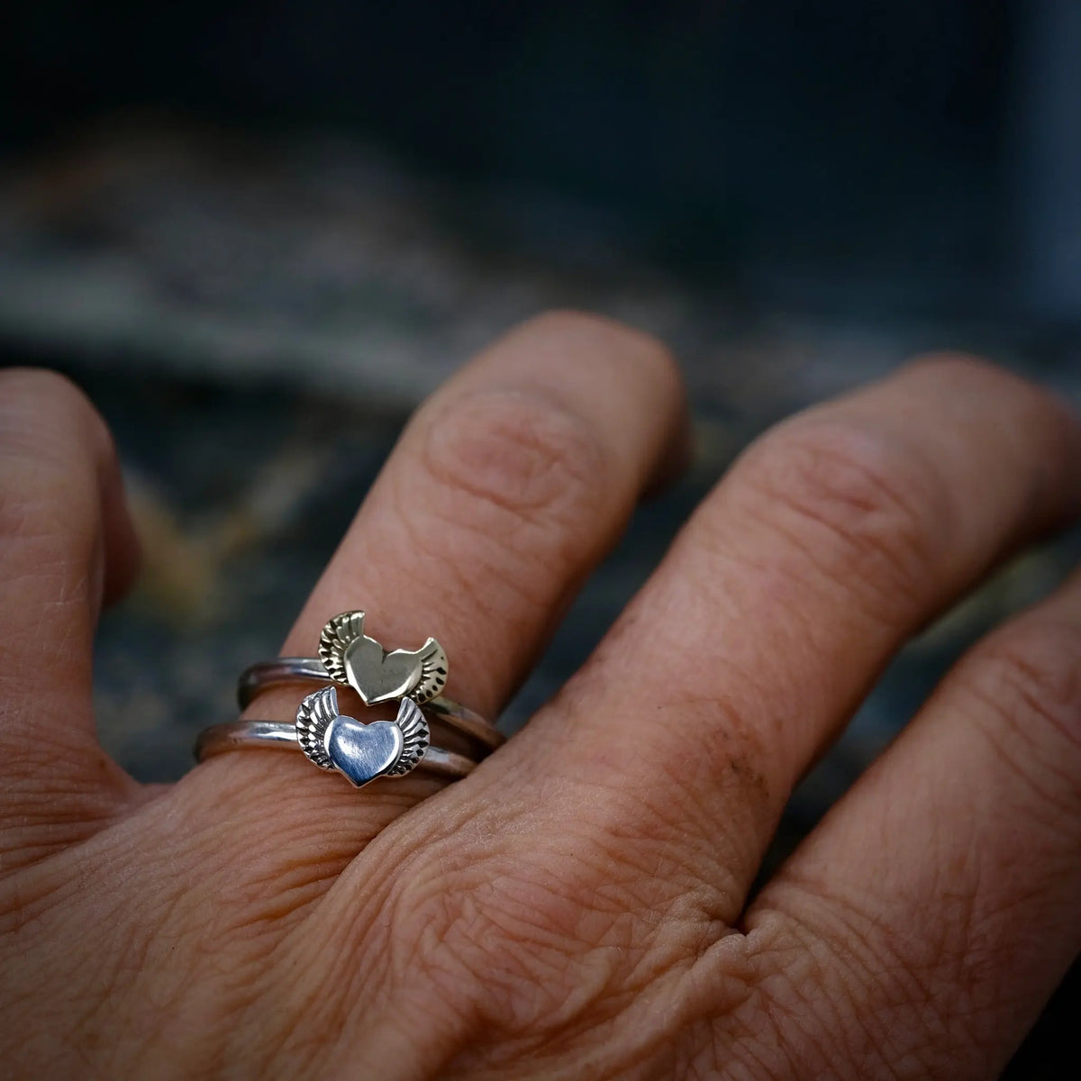 Hjärtats Fröjd - 2mm Ring L8Hasselblad