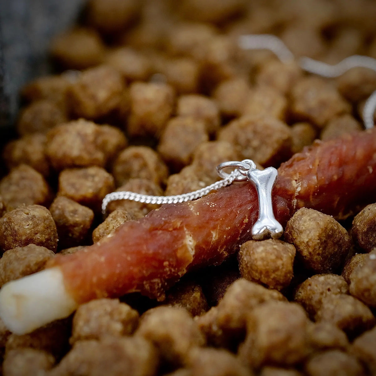 Hundben - Halsband L8Hasselblad