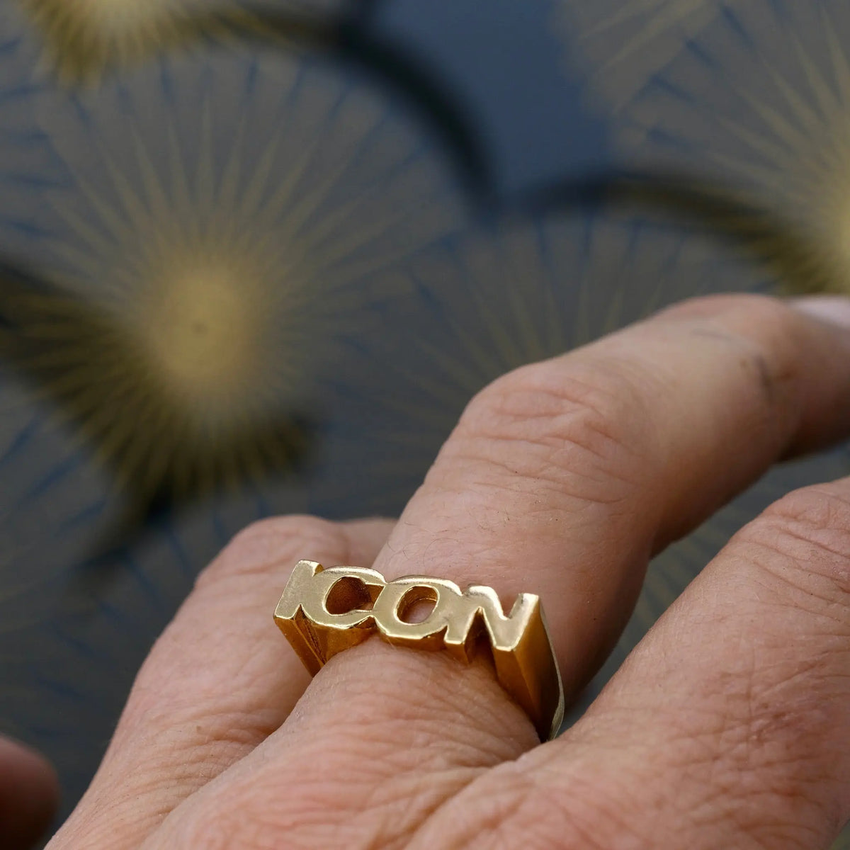 ICON - Ordring L8Hasselblad