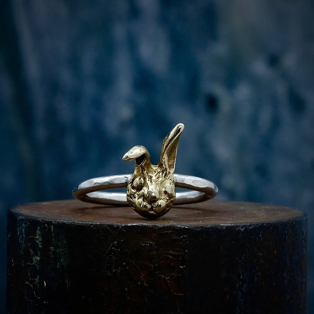 Kanin - 2mm Ring L8Hasselblad