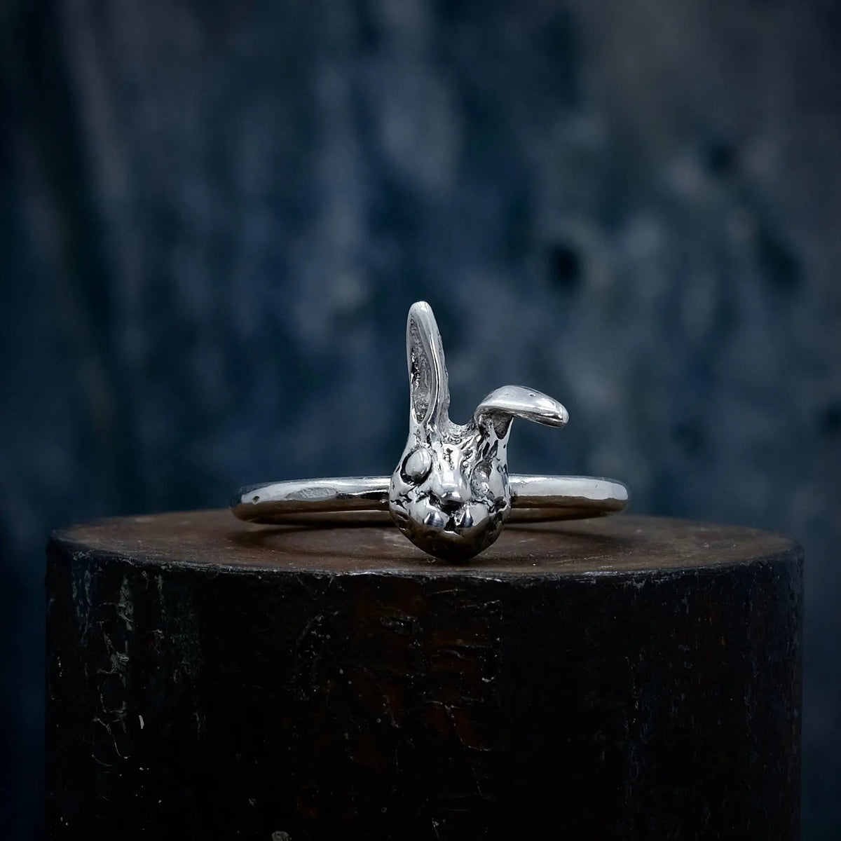 Kanin - 2mm Ring L8Hasselblad