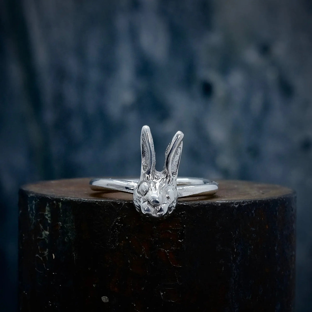 Kanin - 2mm Ring L8Hasselblad