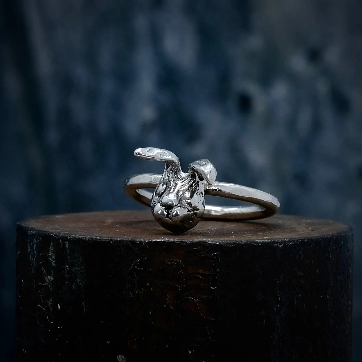 Kanin - 2mm Ring L8Hasselblad