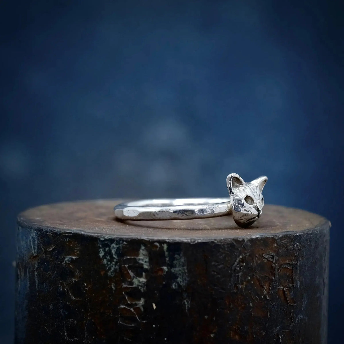 Katthuvud - 2mm Ring L8Hasselblad