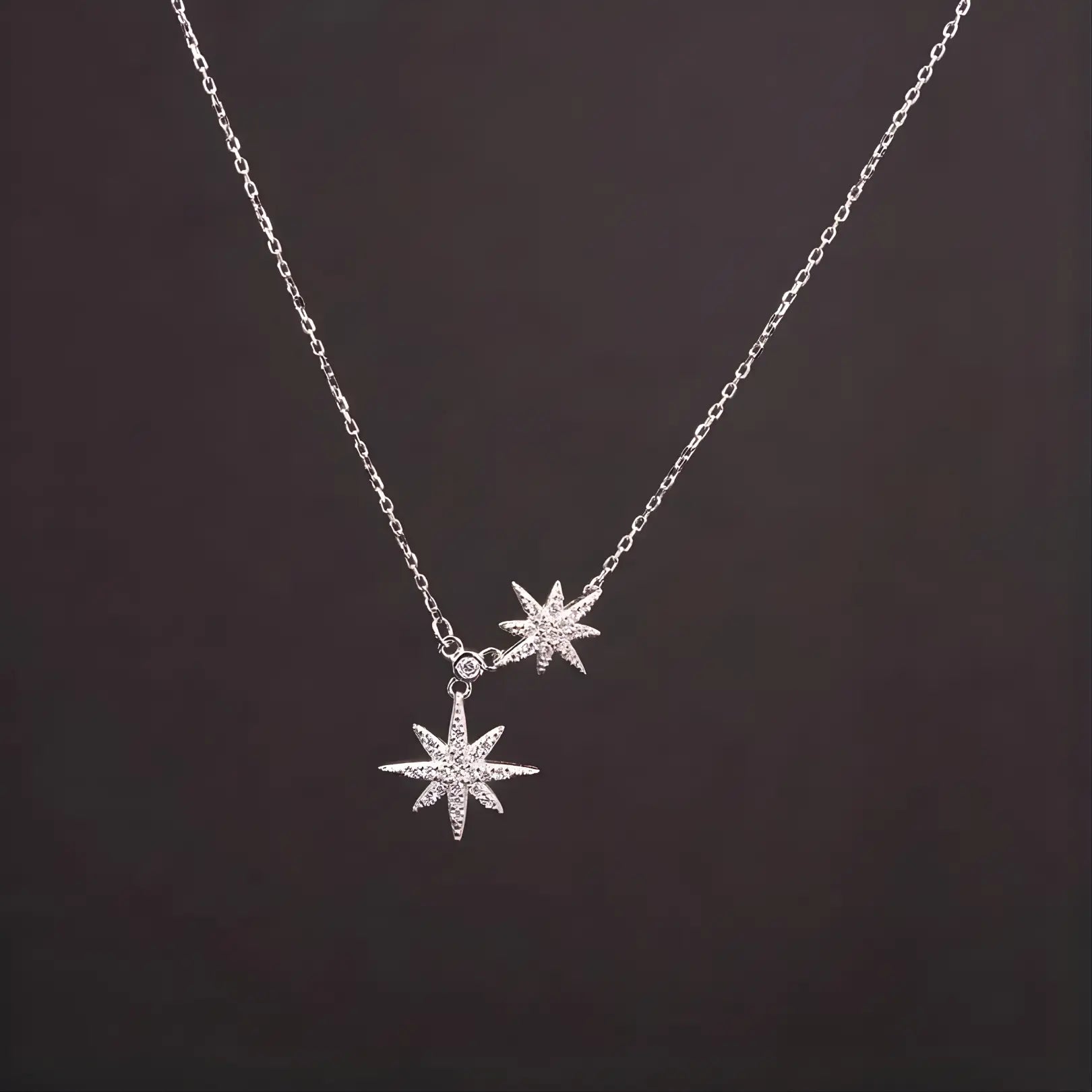 Kit - Snöflingestift & Stjärnhalsband L8Hasselblad