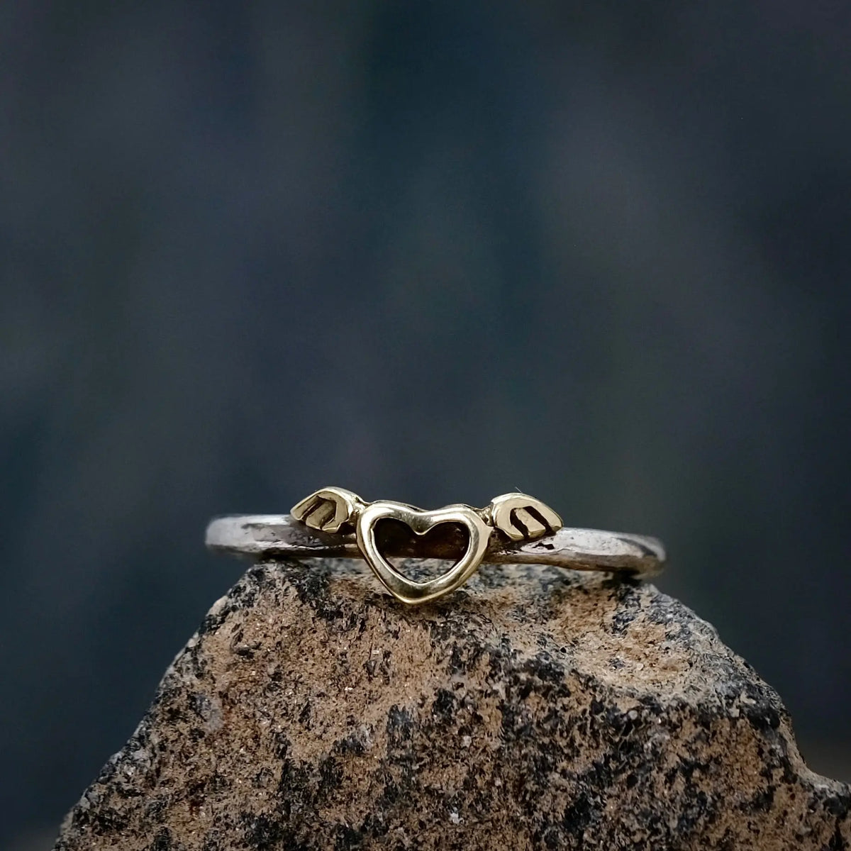 Love - 2mm Ring L8Hasselblad