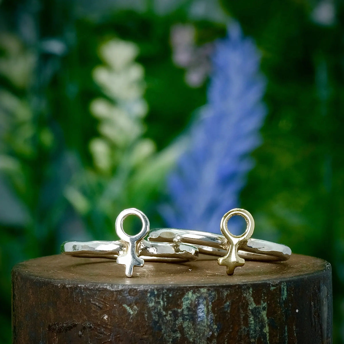 Mellan Venus - 2mm Ring L8Hasselblad
