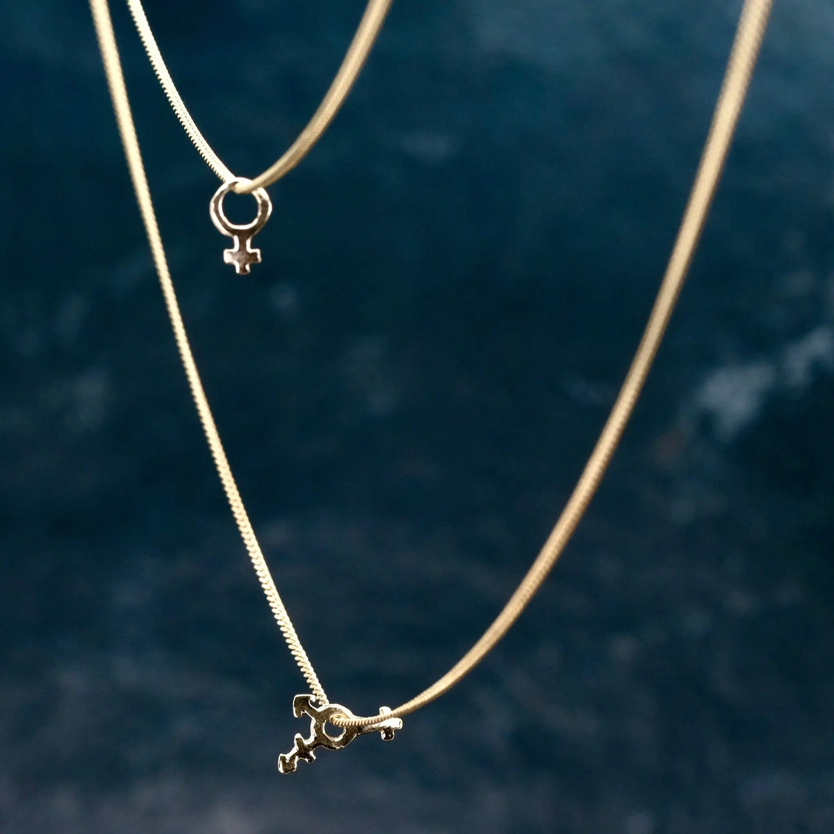 Mini Symbol - Halsband L8Hasselblad