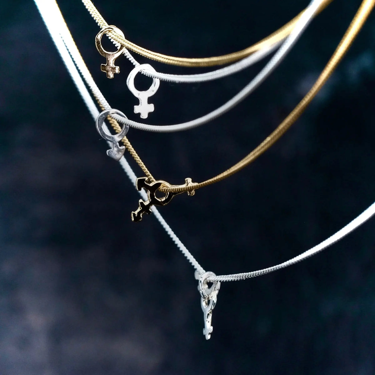 Mini Symbol - Halsband L8Hasselblad