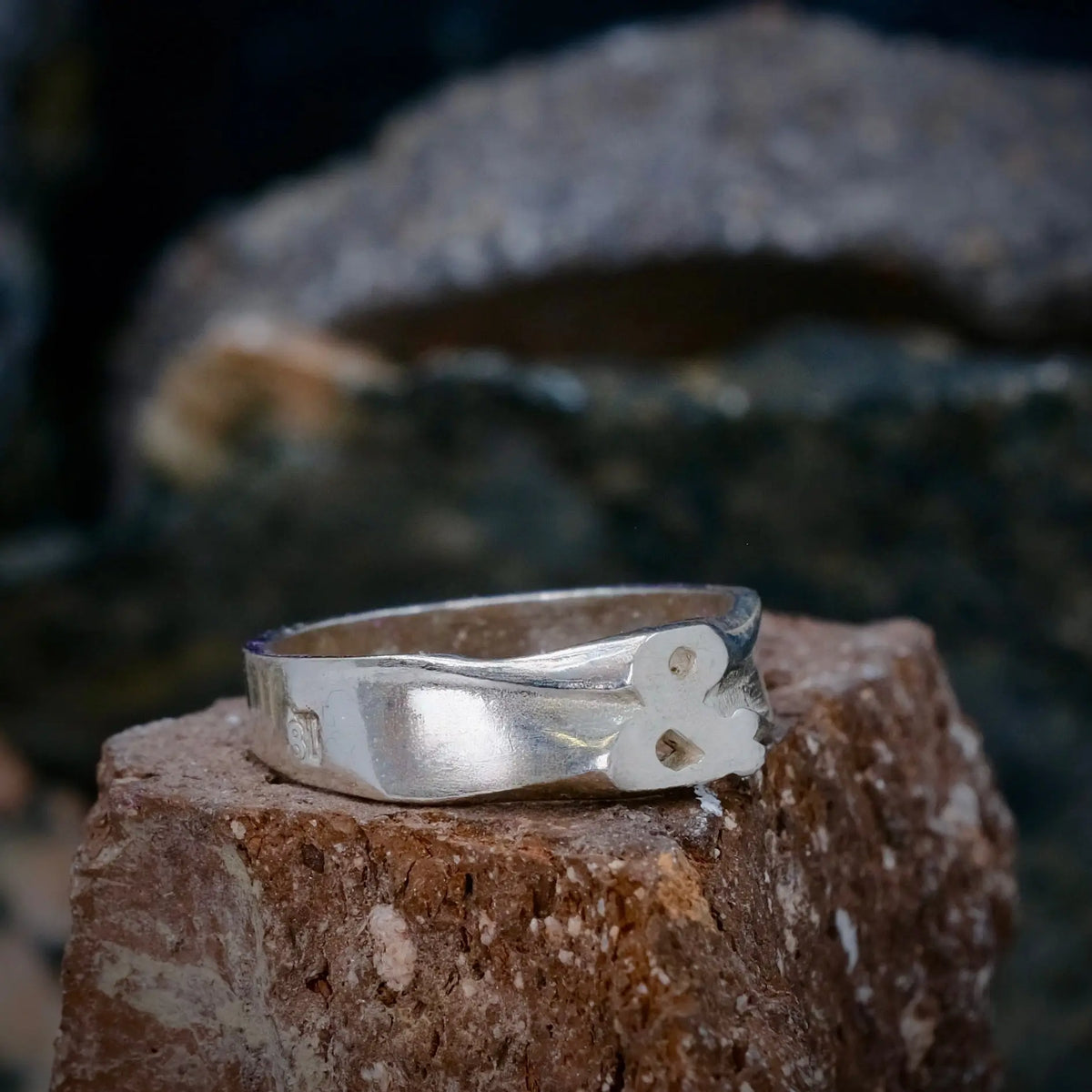 & - Ordring L8Hasselblad