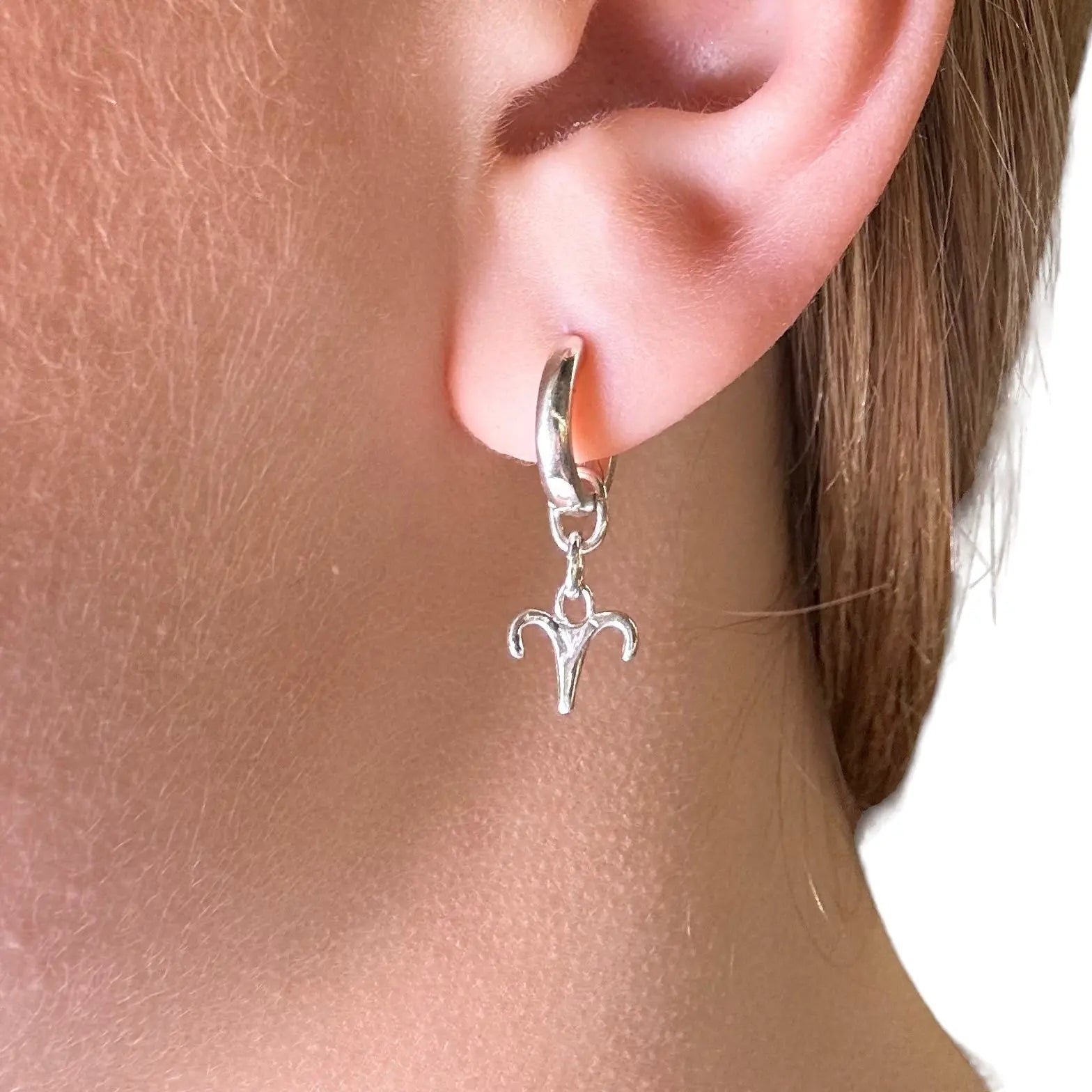 Örhänge - Stjärntecken - L8Hasselblad