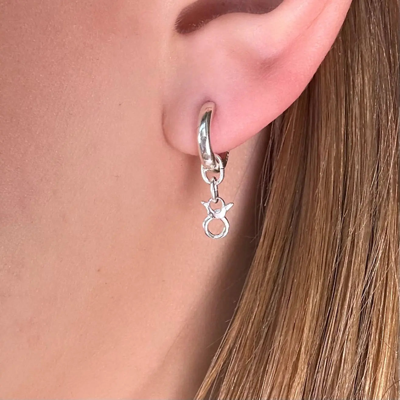 Örhänge - Stjärntecken - L8Hasselblad