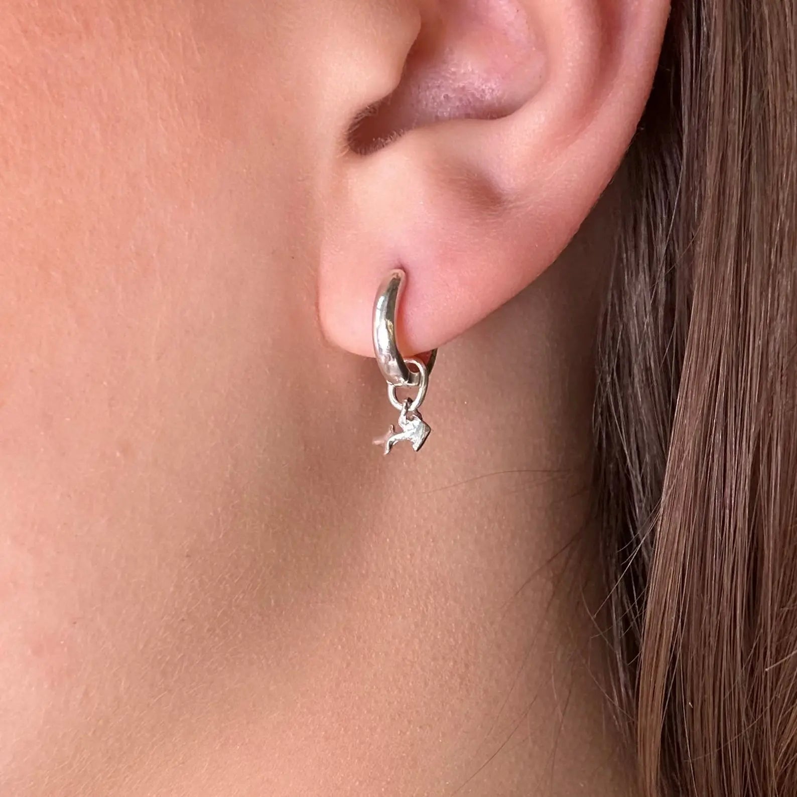 Örhänge - Stjärntecken - L8Hasselblad