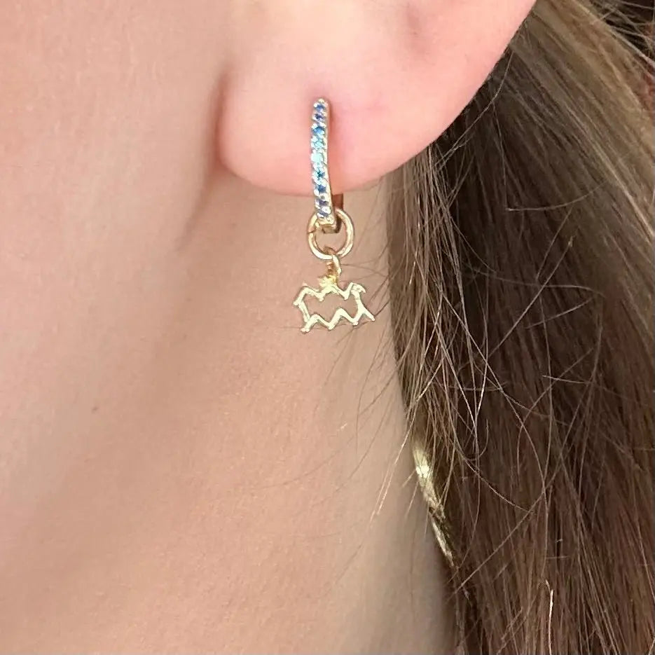 Örhänge - Stjärntecken - L8Hasselblad