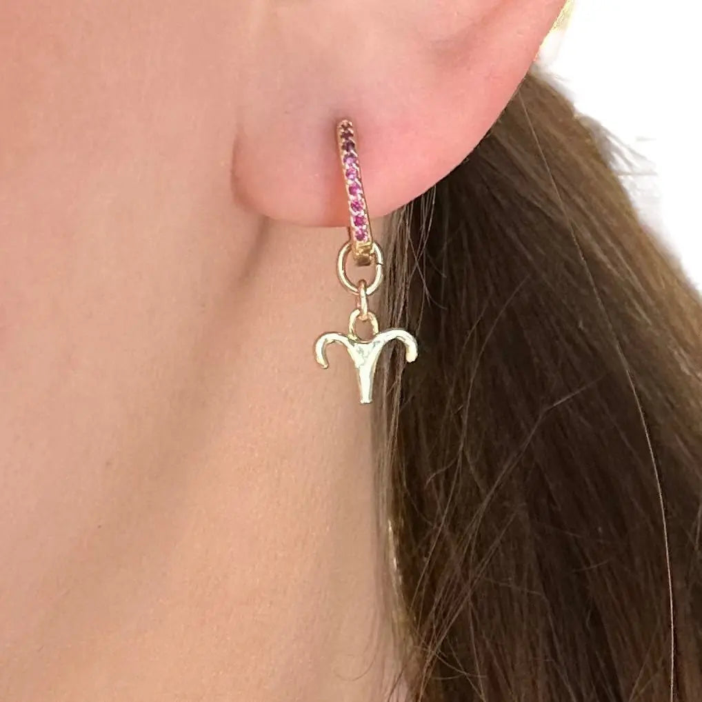 Örhänge - Stjärntecken - L8Hasselblad