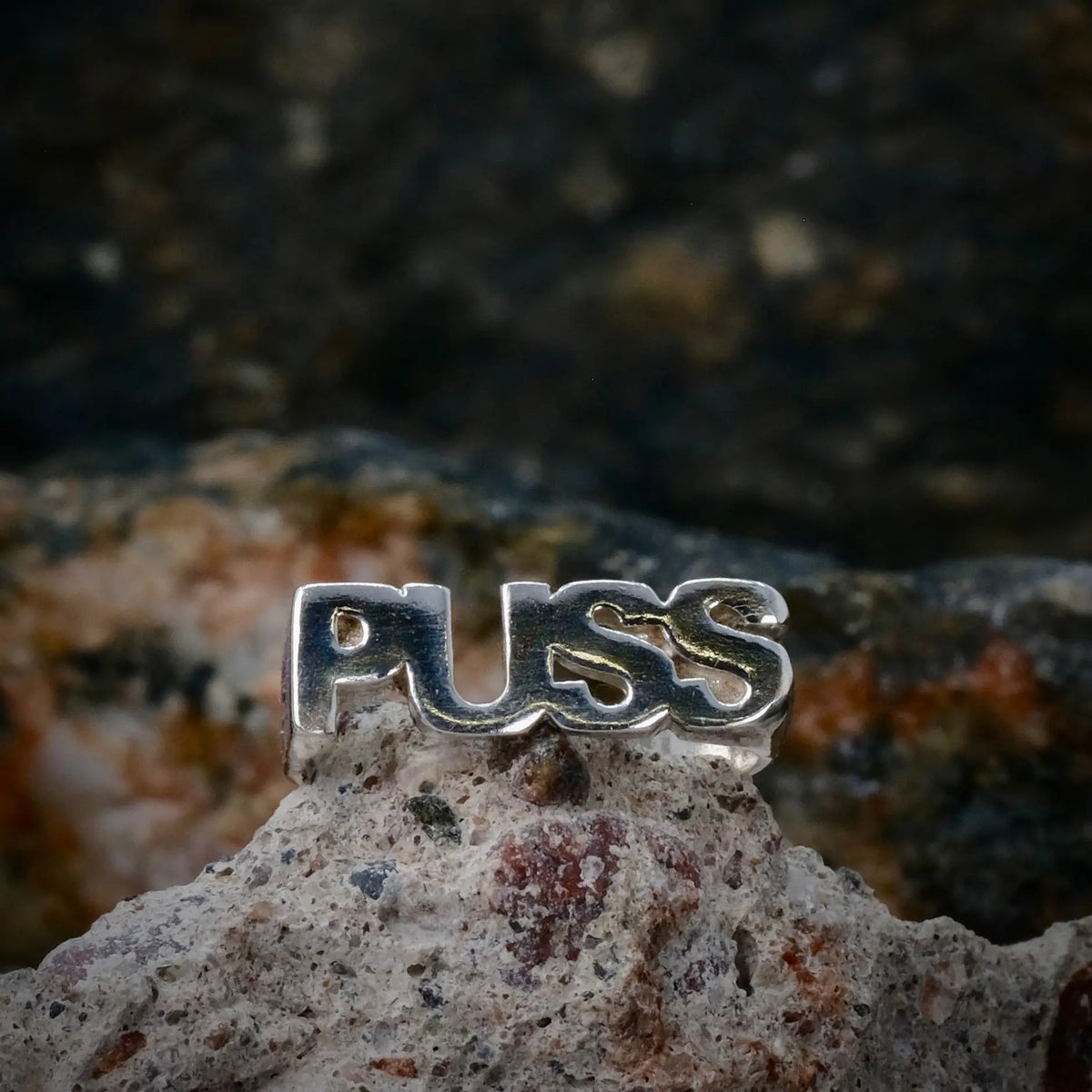 PUSS - Ordring L8Hasselblad