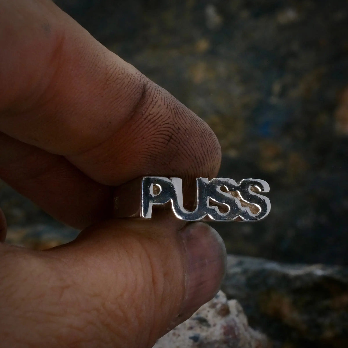 PUSS - Ordring L8Hasselblad