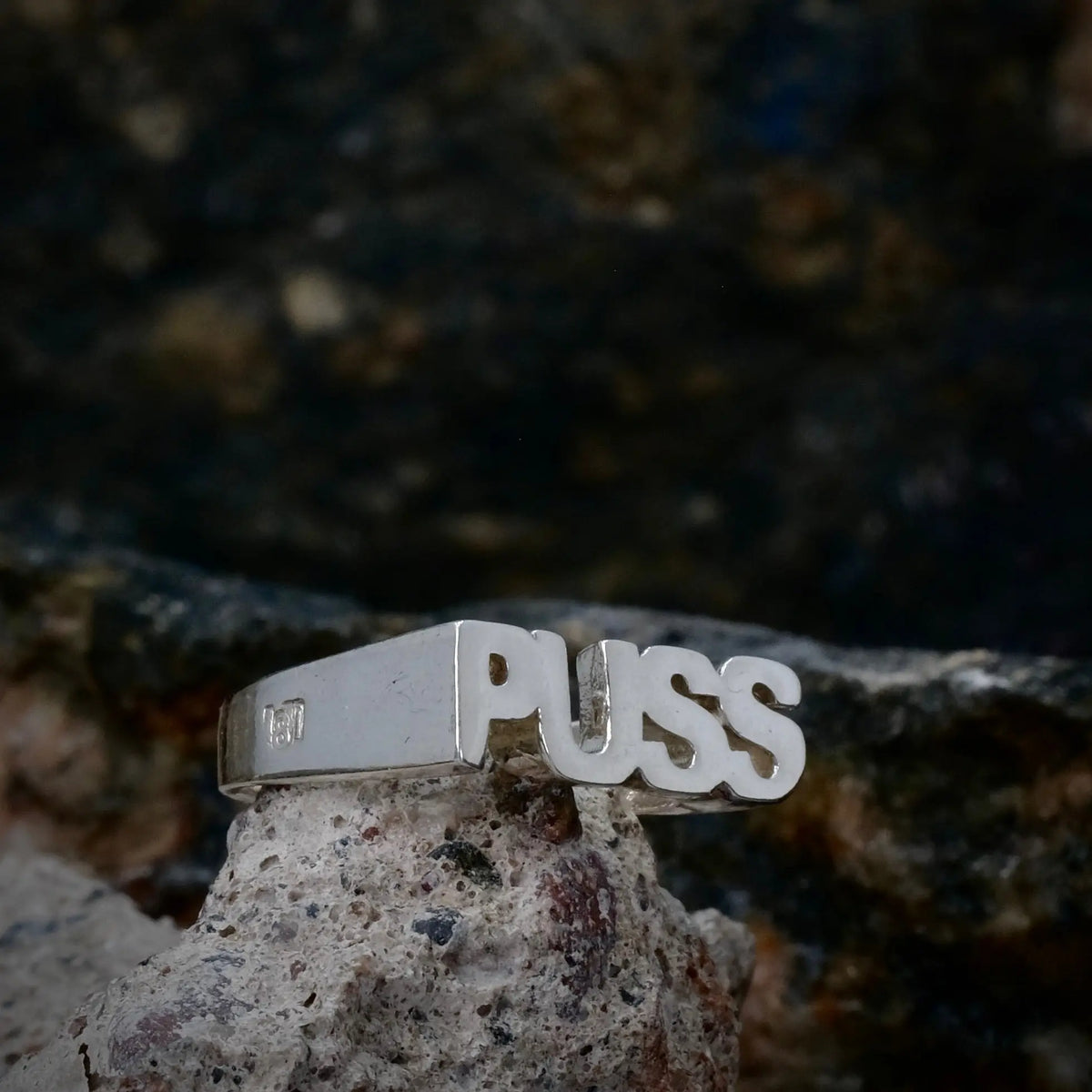 PUSS - Ordring L8Hasselblad