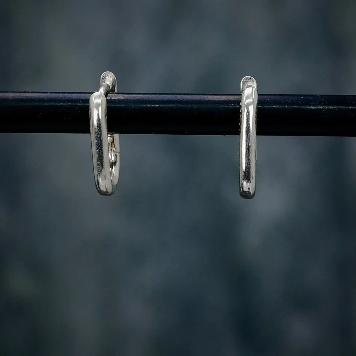 Pillar Hoops L8Hasselblad