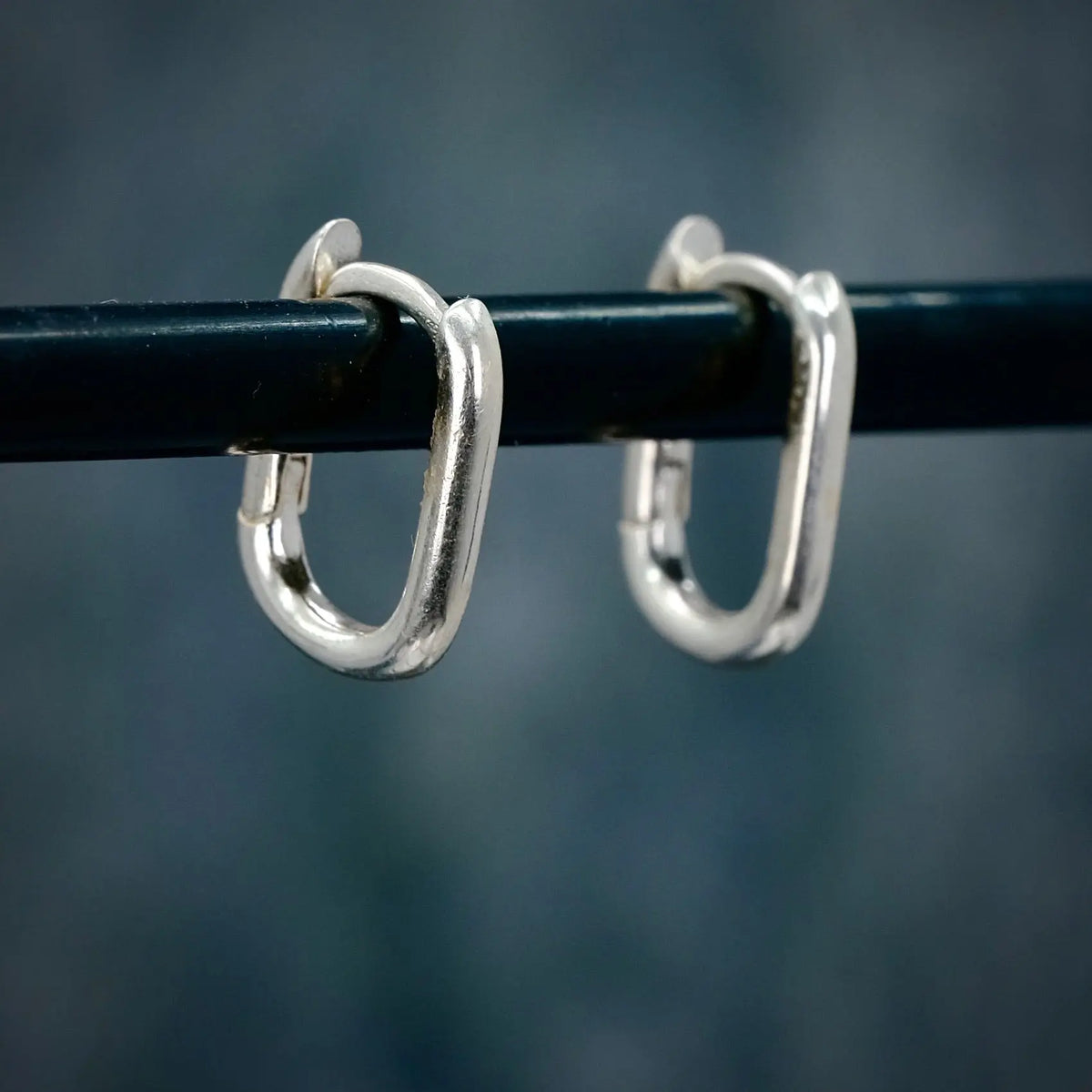 Pillar Hoops L8Hasselblad