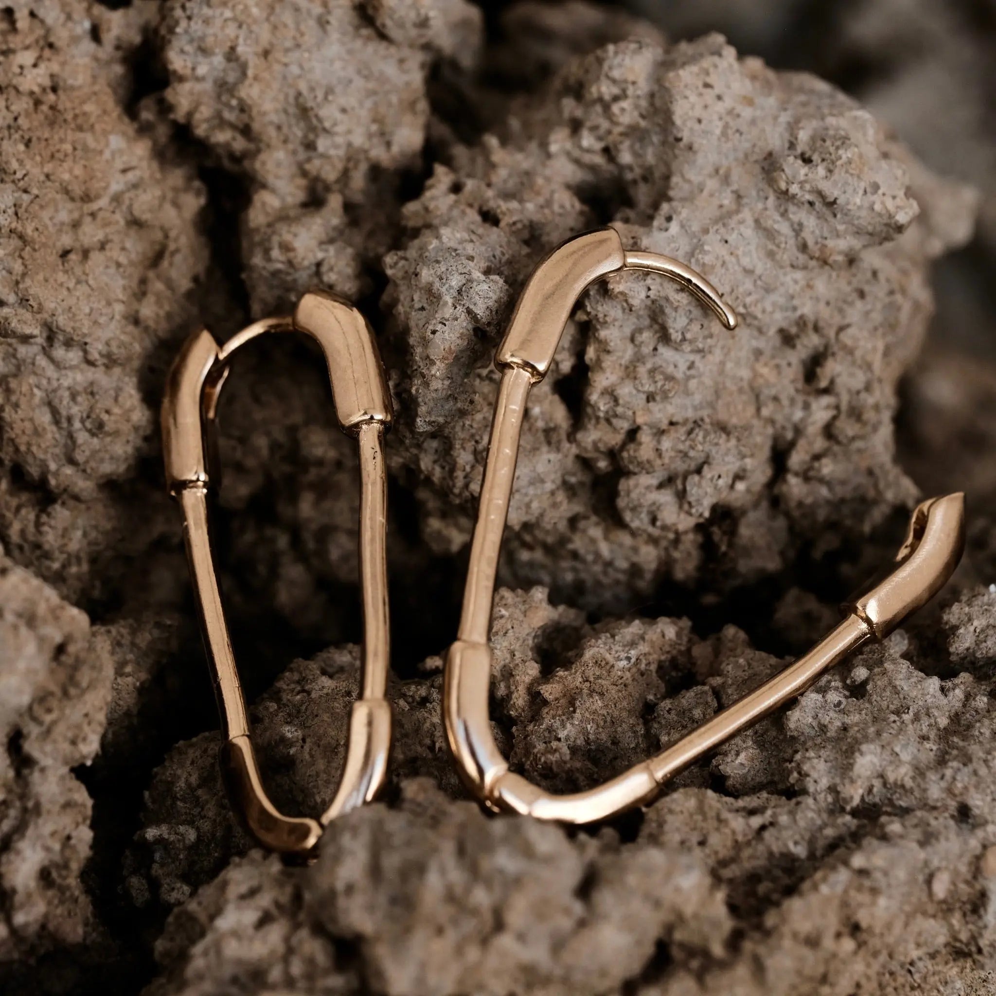 Pin Hoops L8Hasselblad