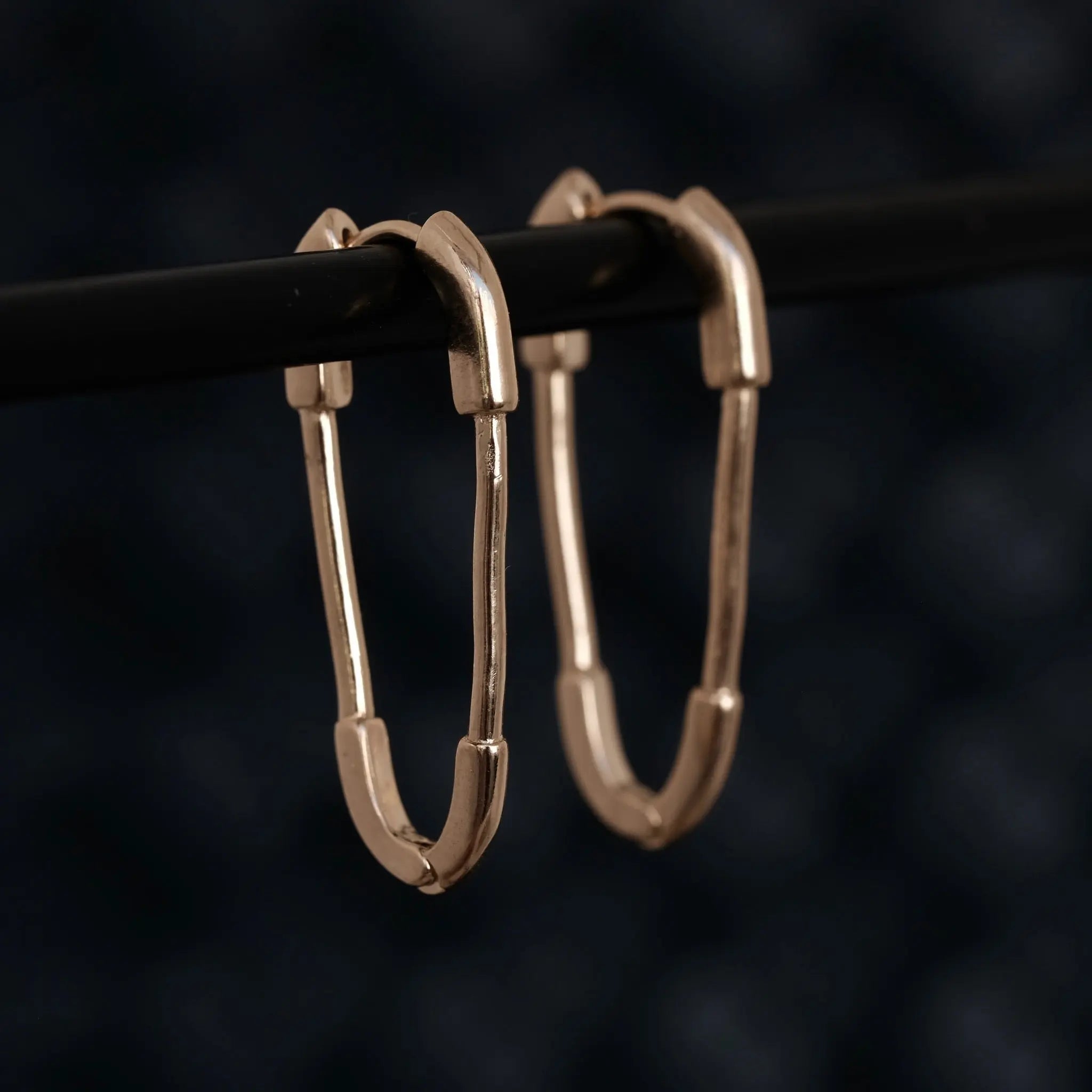 Pin Hoops L8Hasselblad