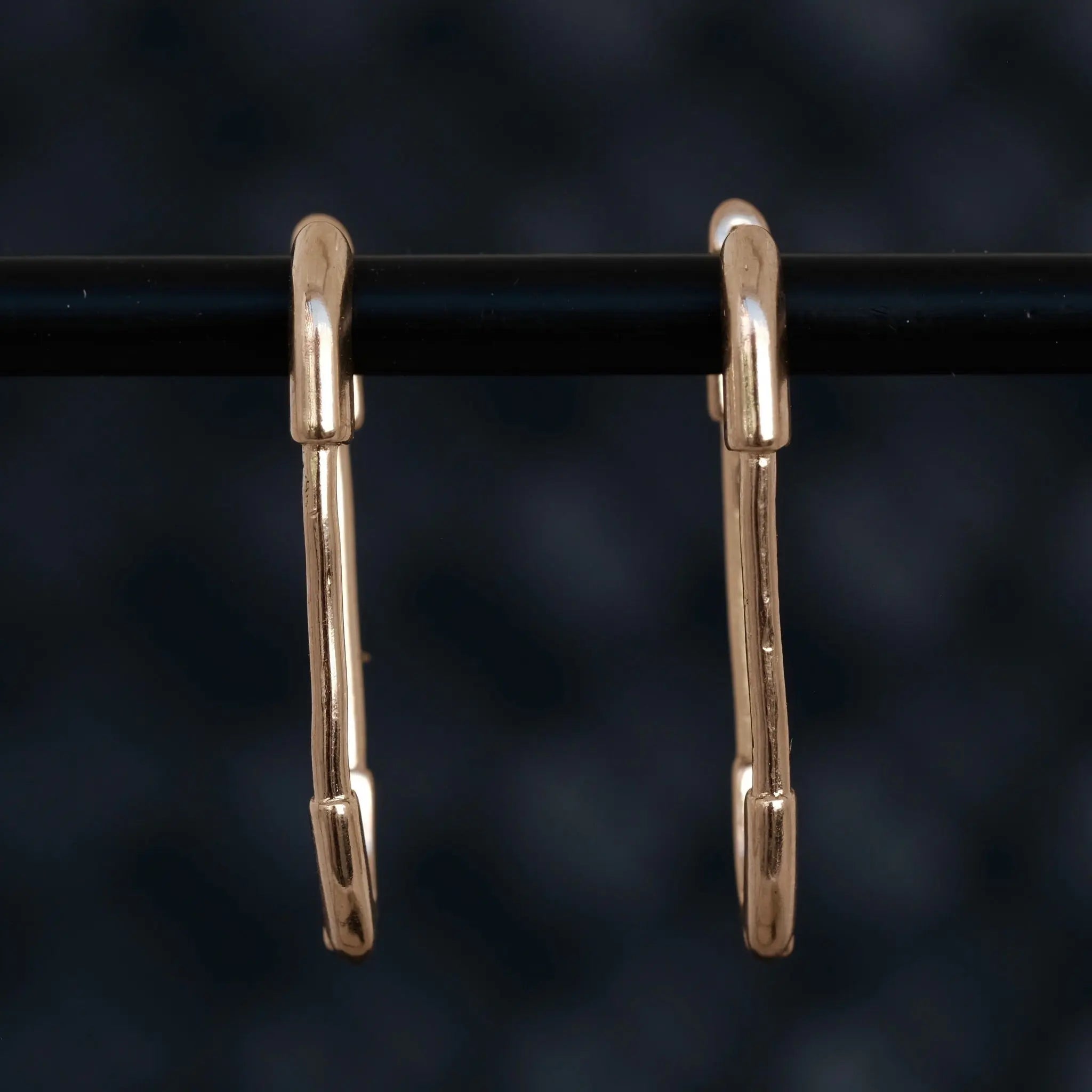 Pin Hoops L8Hasselblad