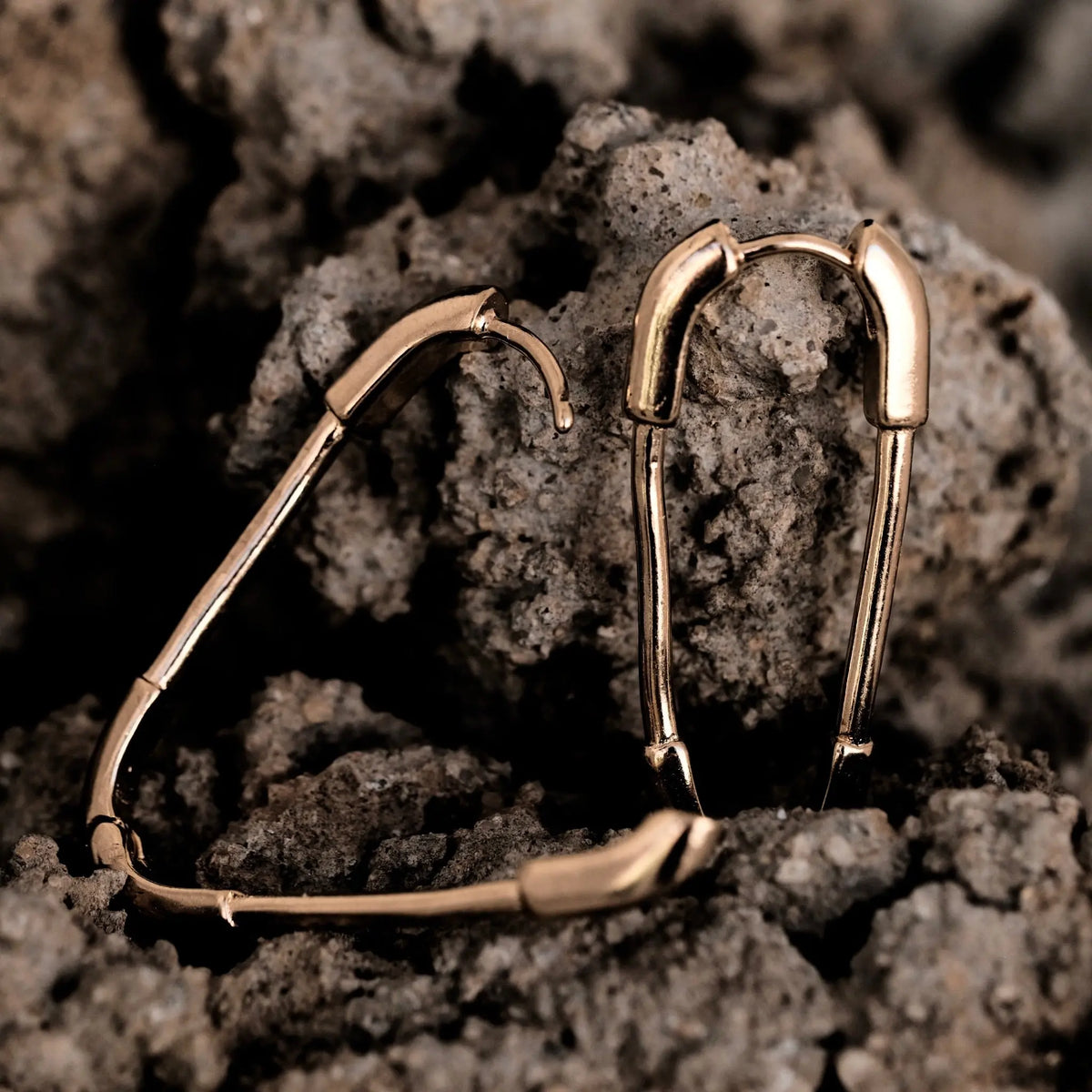 Pin Hoops L8Hasselblad