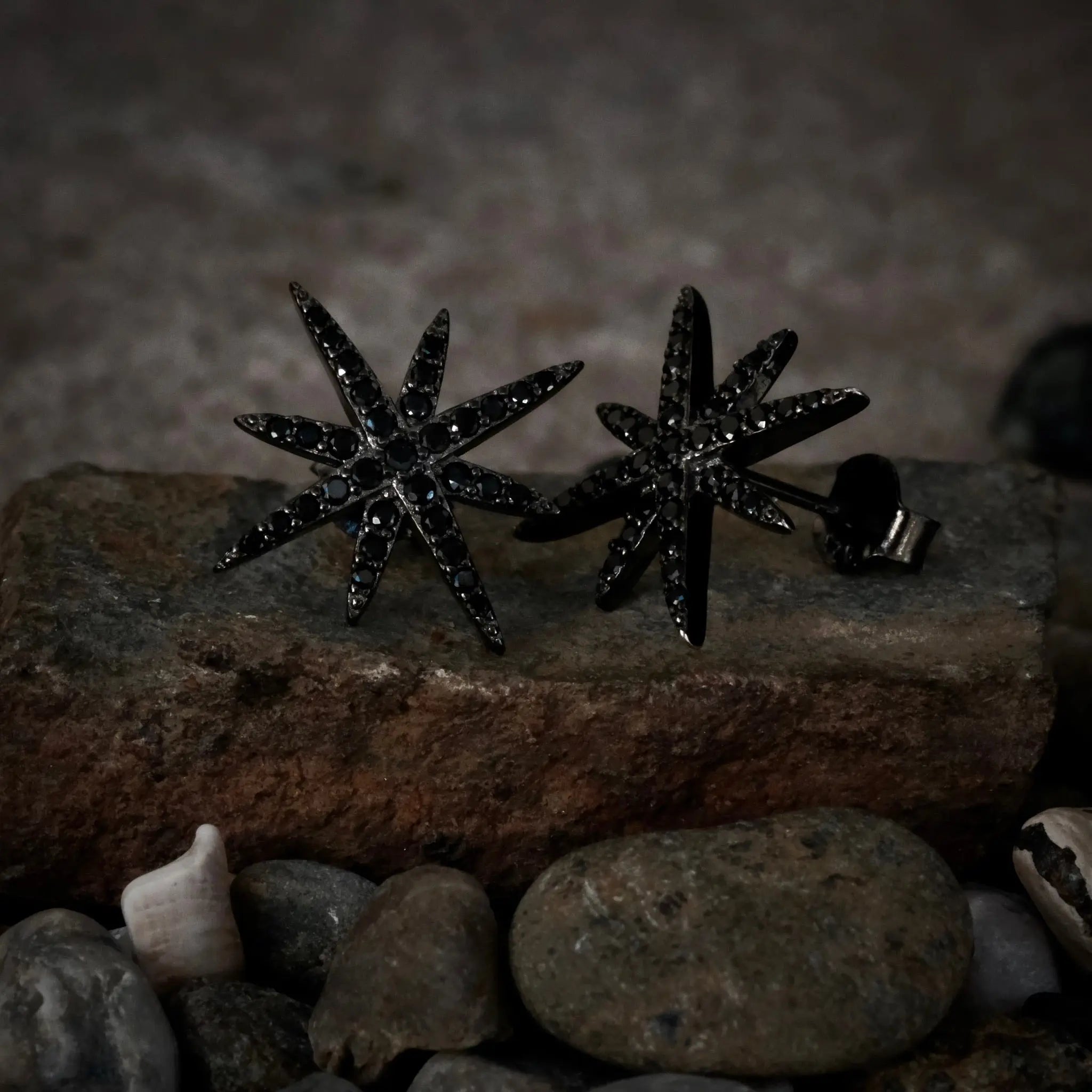 Polaris - Stiftörhänge L8Hasselblad