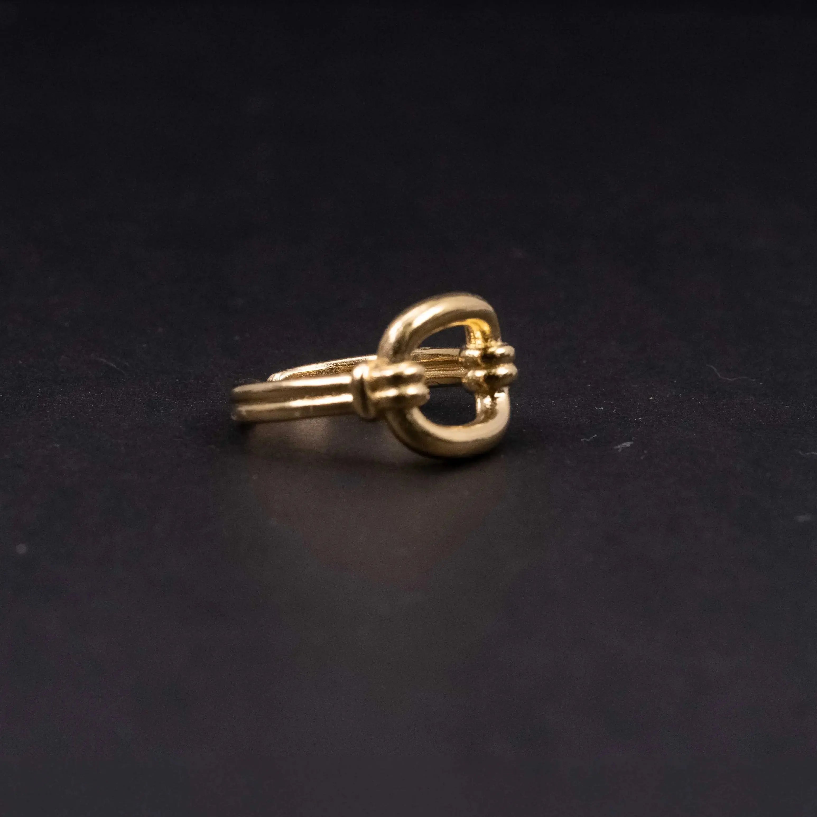 Ring - Classy and Chic L8Hasselblad