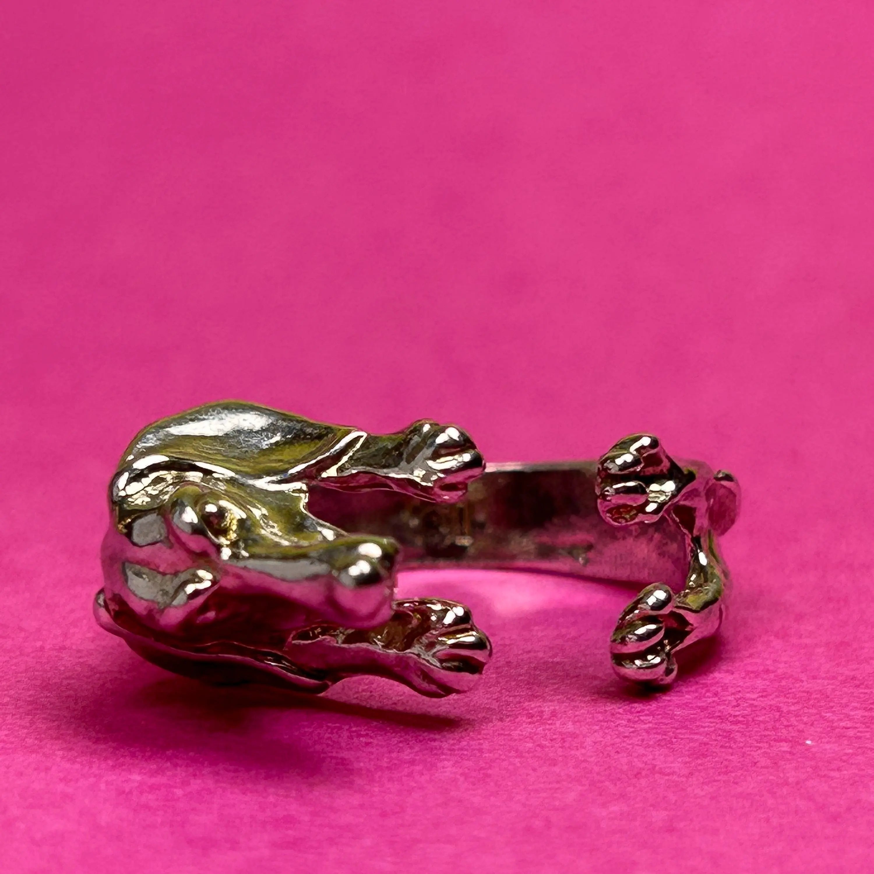 Ring - taxen - L8Hasselblad