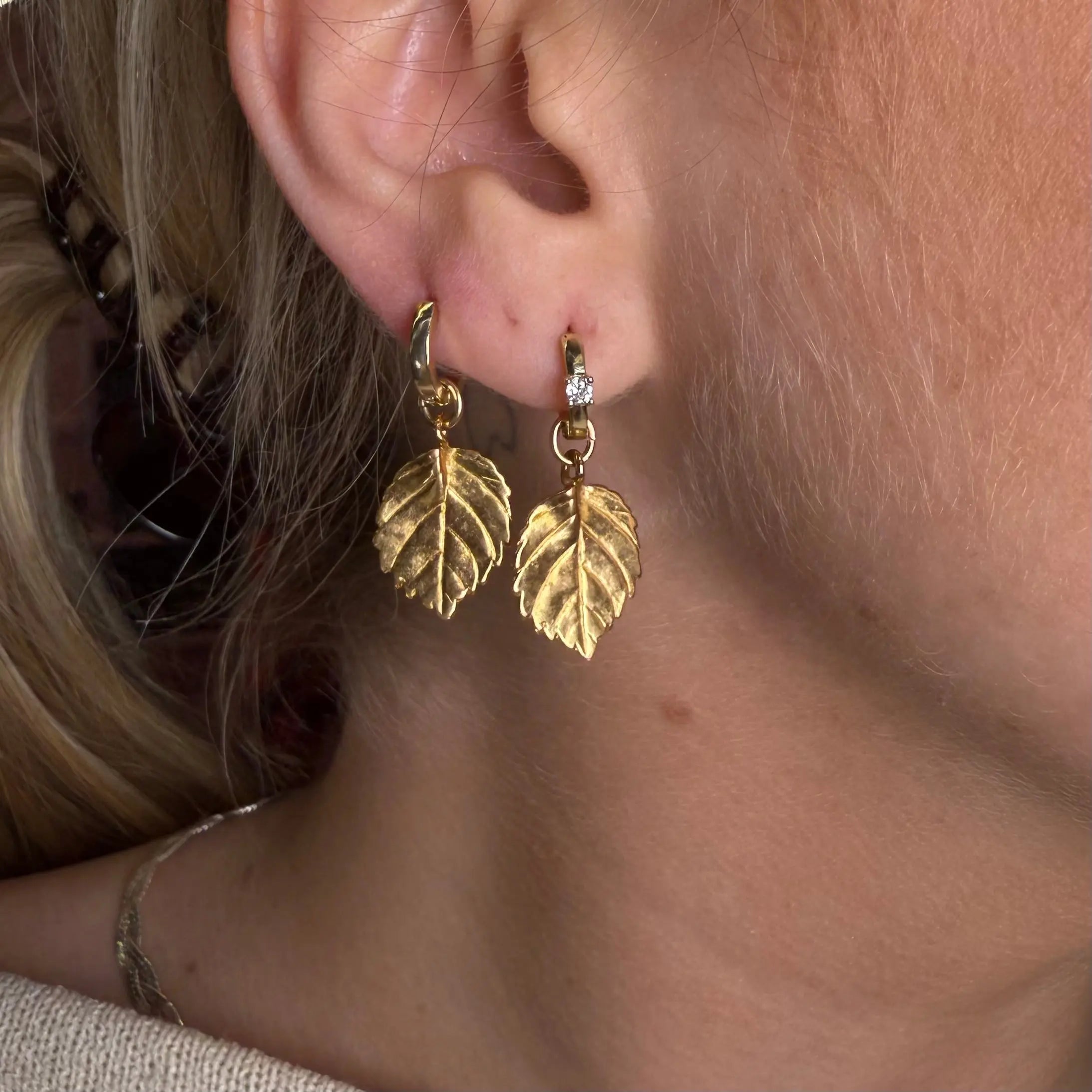 Skymningslöv - guldörhängen - L8Hasselblad