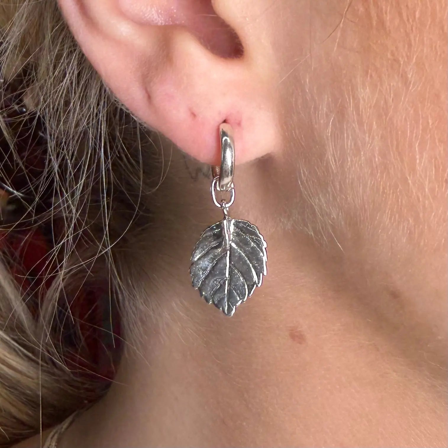 Skymningslöv - silverörhängen - L8Hasselblad