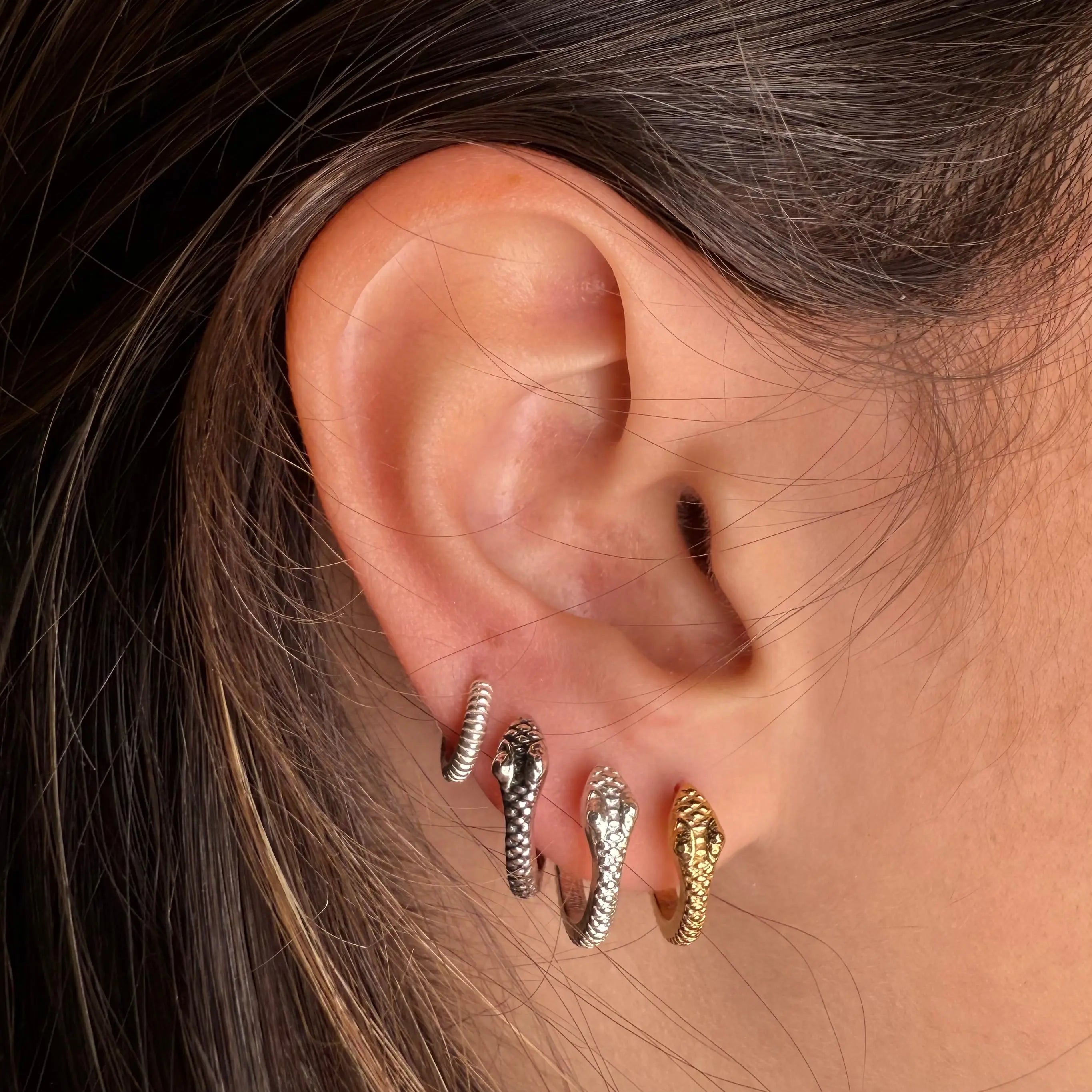 Snake hoops - L8Hasselblad