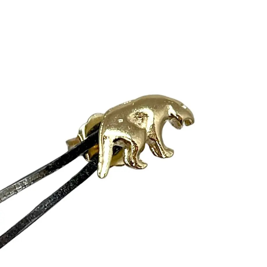 Stiftörhänge - Björn - L8Hasselblad